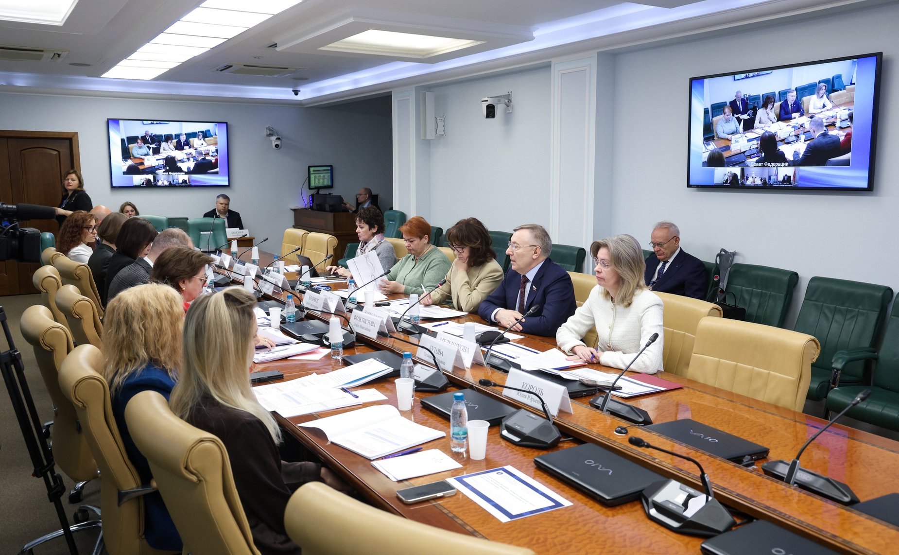 Заседание Экспертного совета по социальному развитию при Комитете Совета Федерации по социальной политике