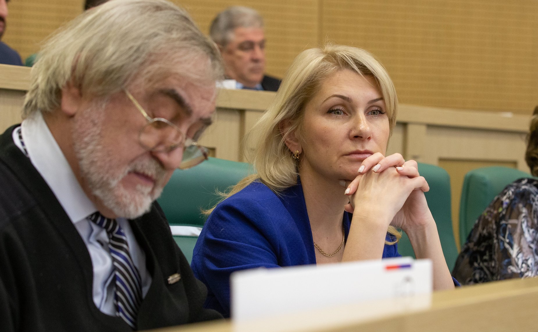 Встреча Председателя Совета Федерации Валентины Матвиенко с руководителями детских театров России