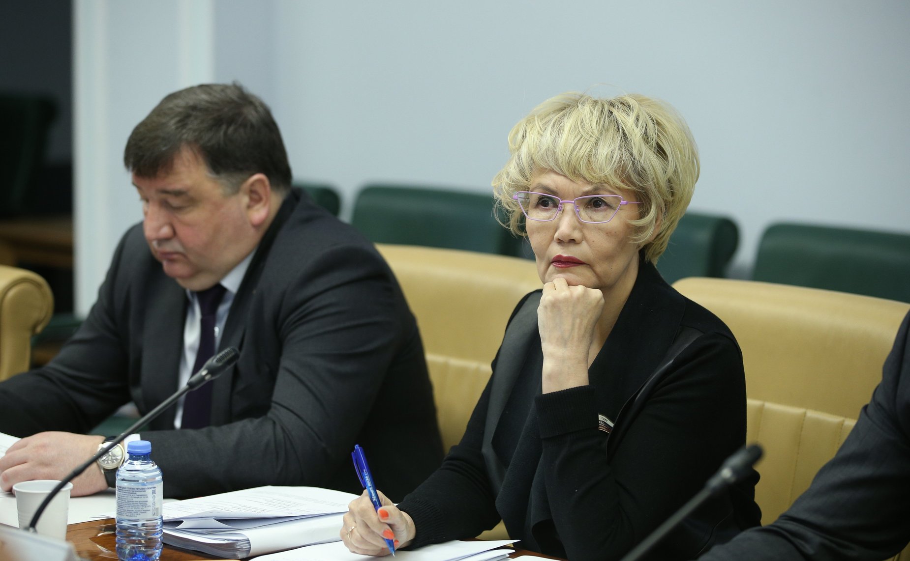 Заседание Совета по вопросам газификации субъектов РФ при СФ