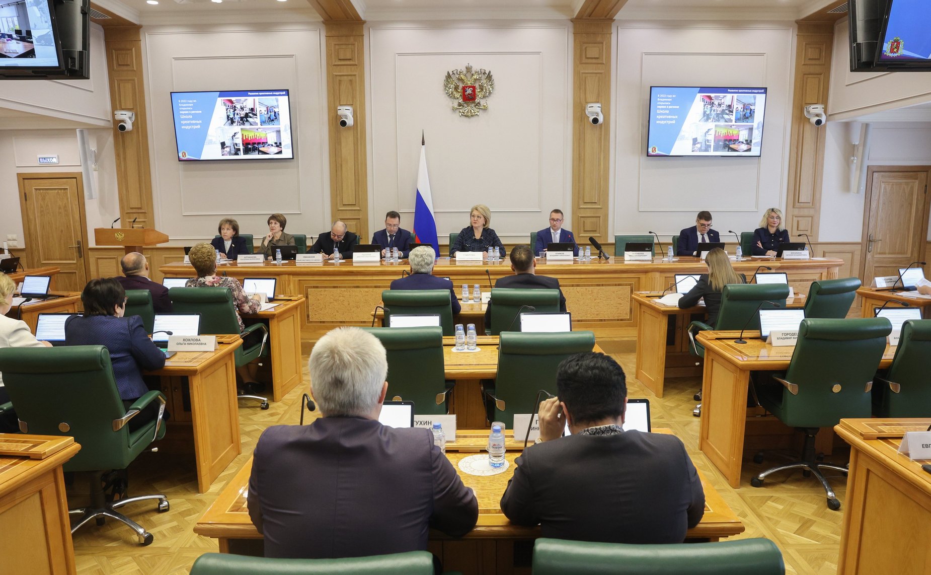 Заседание Комитета СФ по науке, образованию и культуре