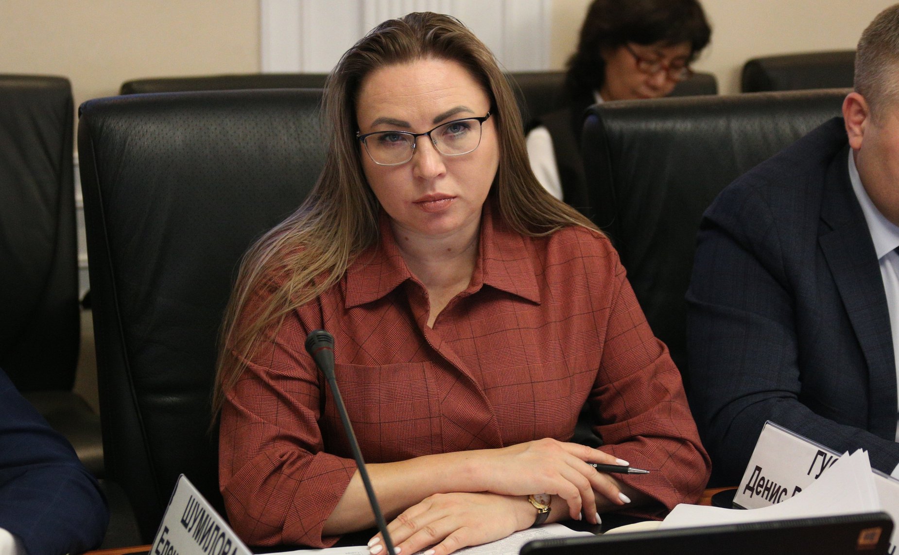 Елена Шумилова