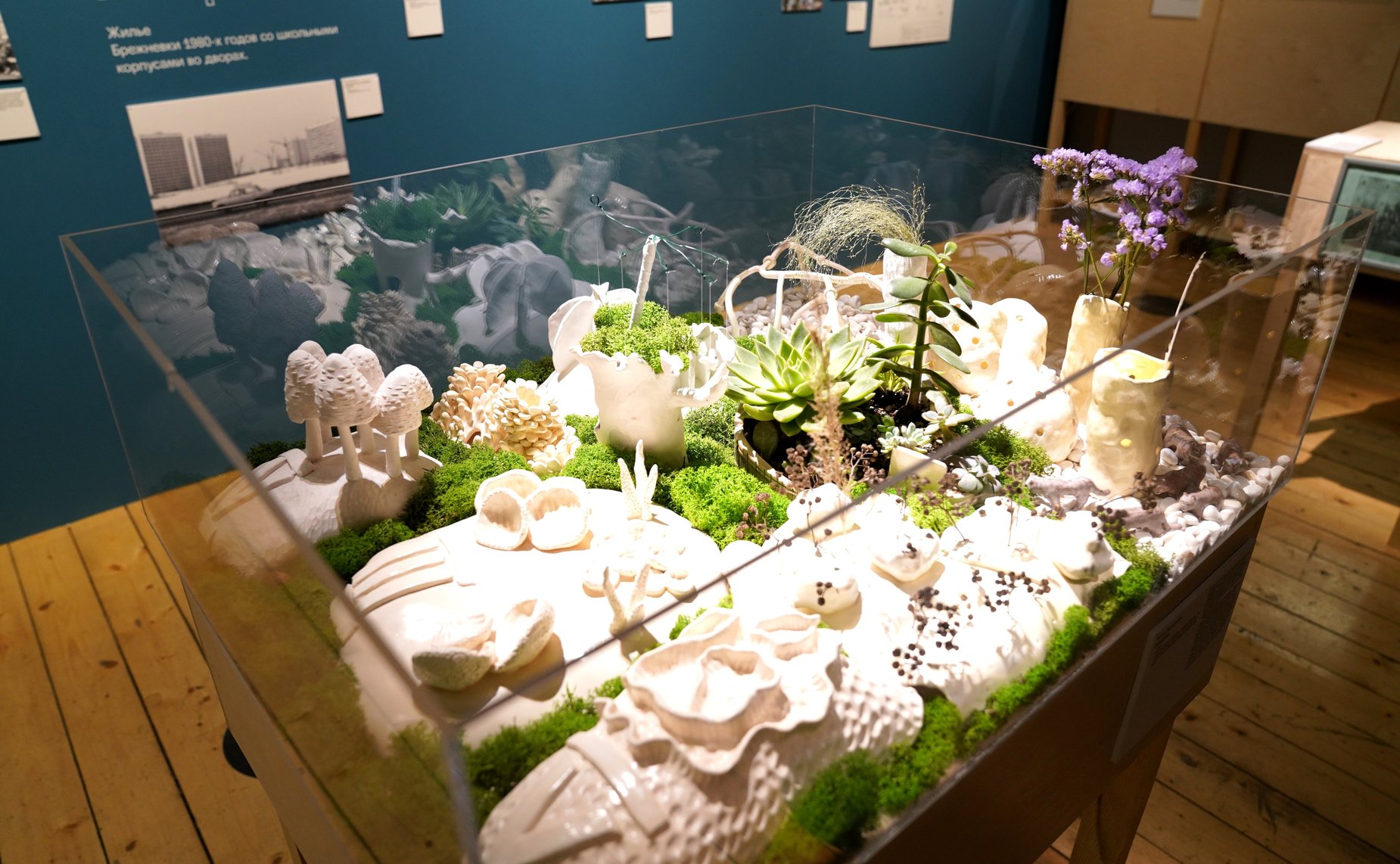 Экспозиция междисциплинарного проекта «Москва без окраин», посвященная Капотне