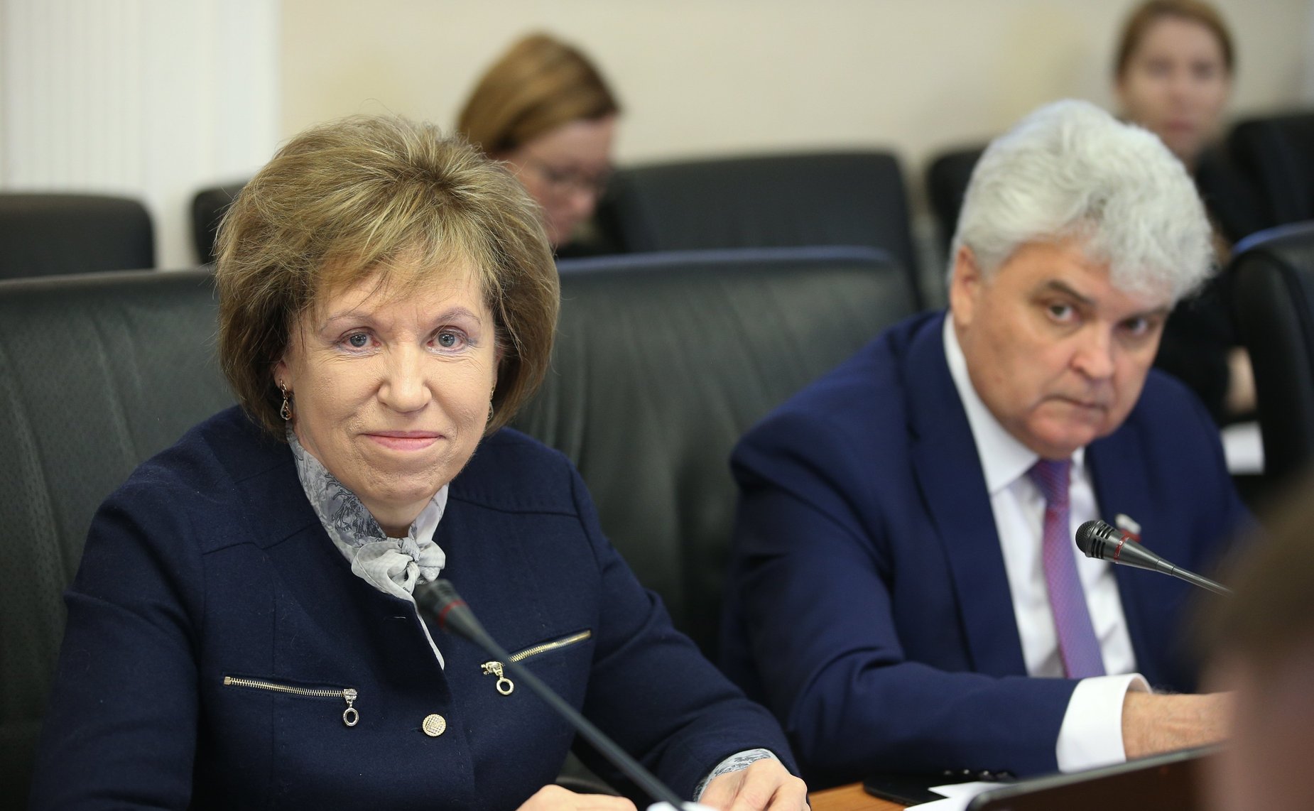 Заседание Комитета СФ по науке, образованию и культуре