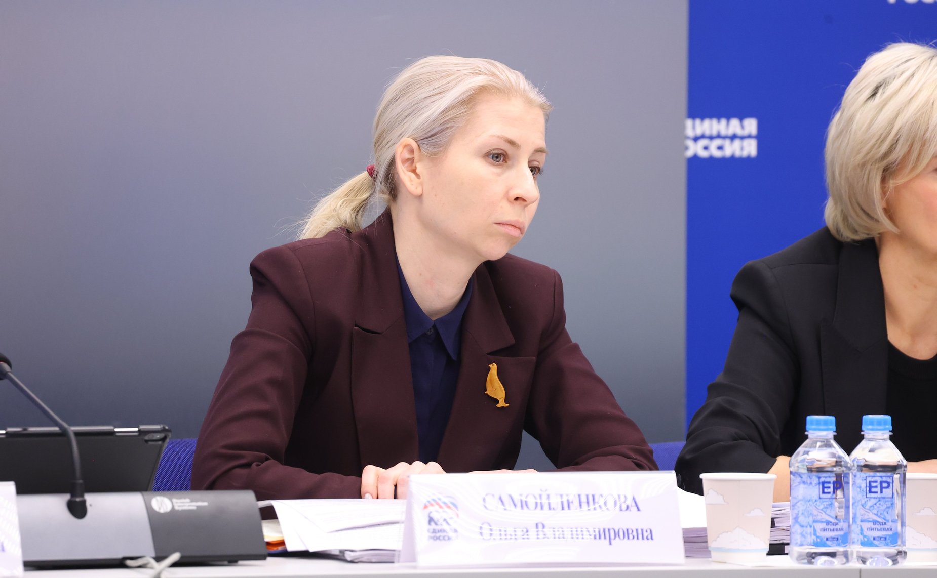 Заседание Комиссии Совета Федерации по развитию креативных (творческих) индустрий и народных художественных промыслов в РФ