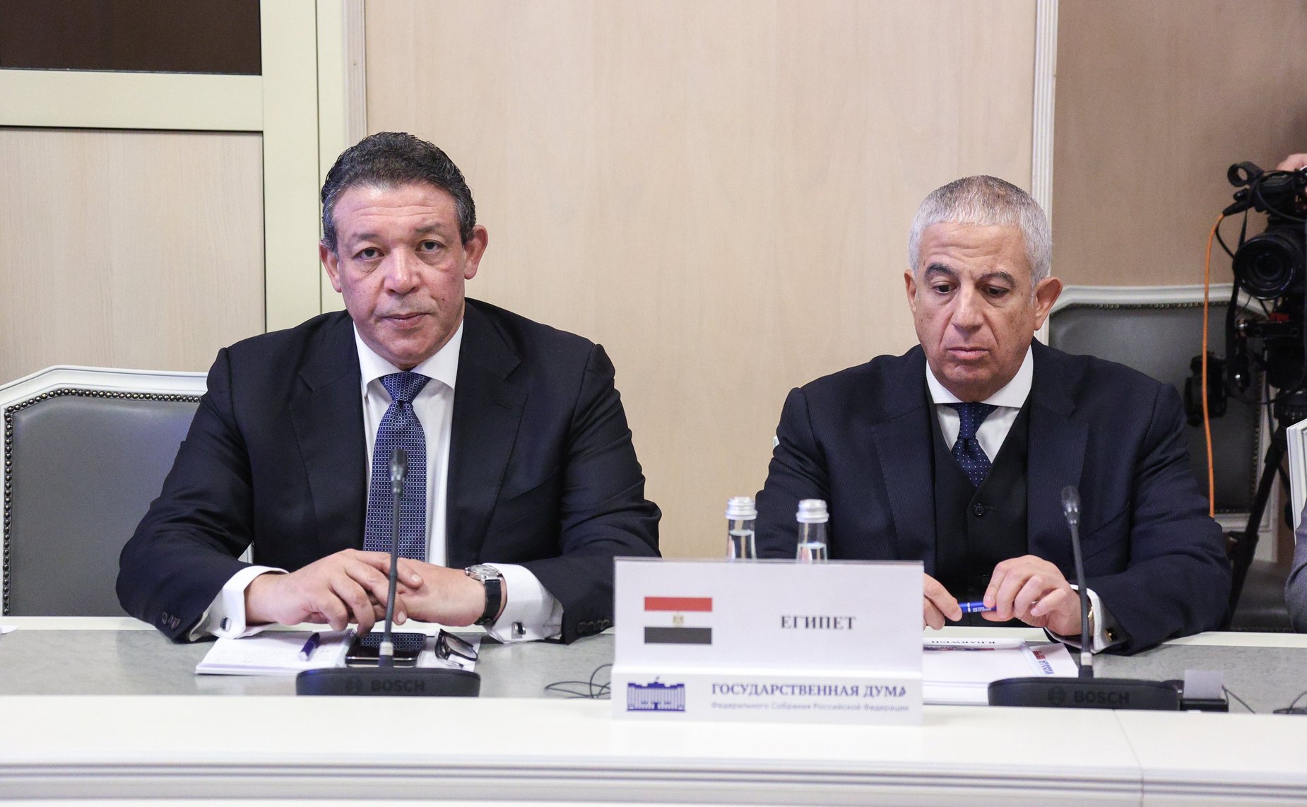 Встреча председателей комитетов по международным делам парламентов (палат парламентов) стран БРИКС с Председателем Государственной Думы Вячеславом Володиным