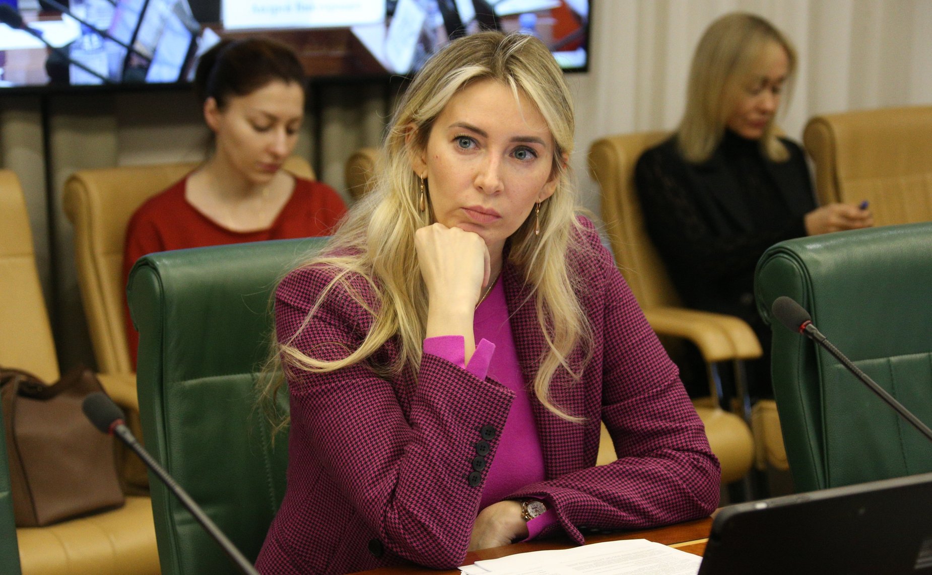 Заседание Комитета СФ по экономической политике