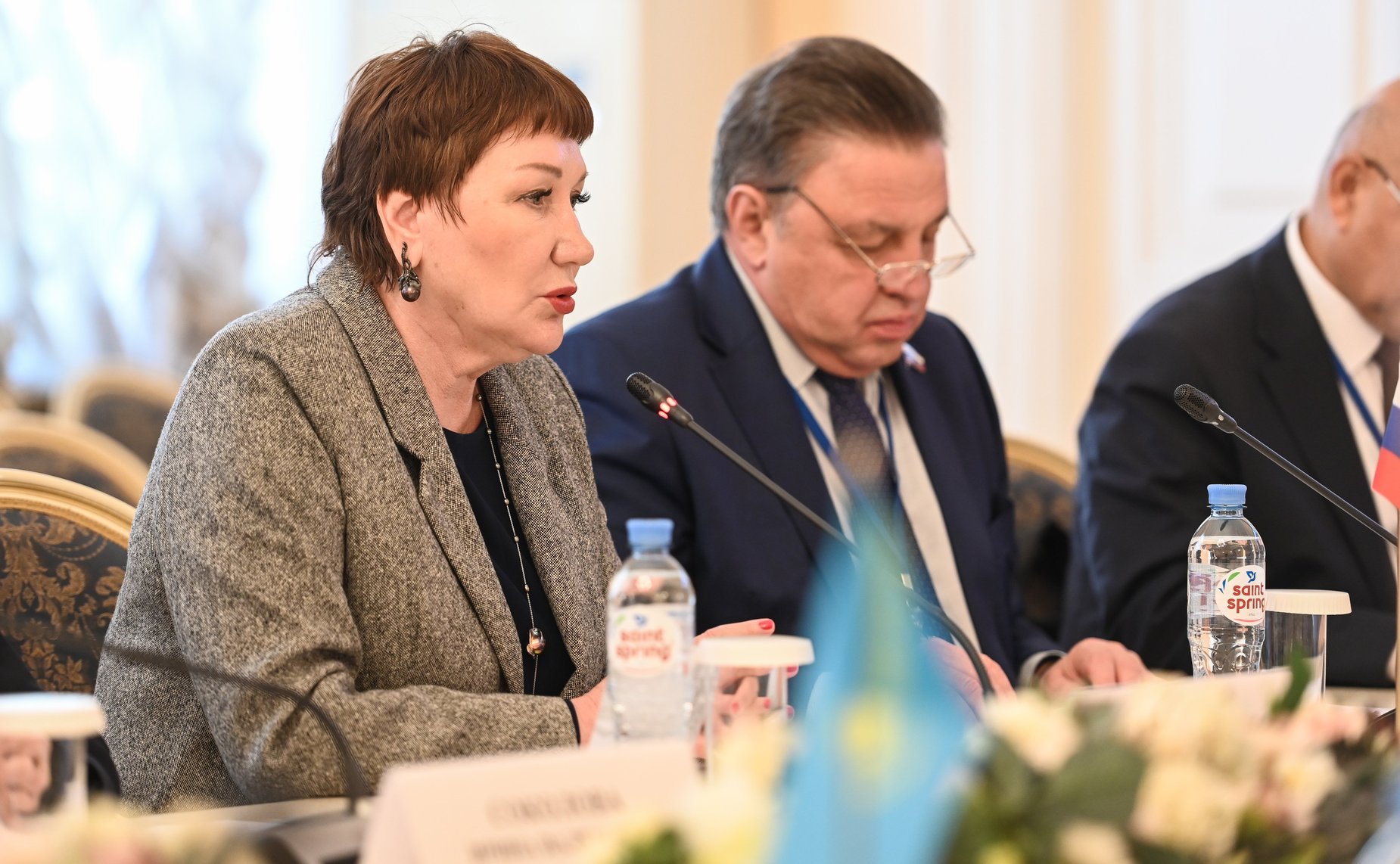 Заседании Контрольно-бюджетной комиссии МПА СНГ