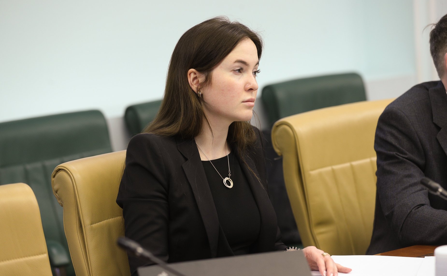 «Круглый стол» Комитета СФ по науке, образованию и культуре