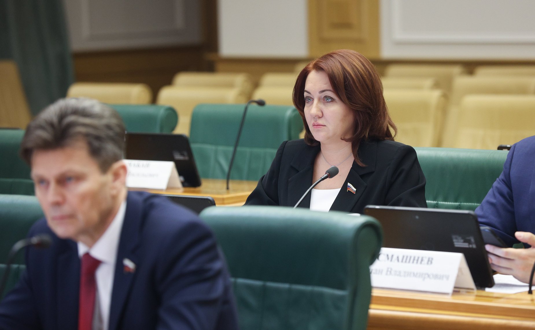 Заседание Комитета Совета Федерации по конституционному законодательству и государственному строительству
