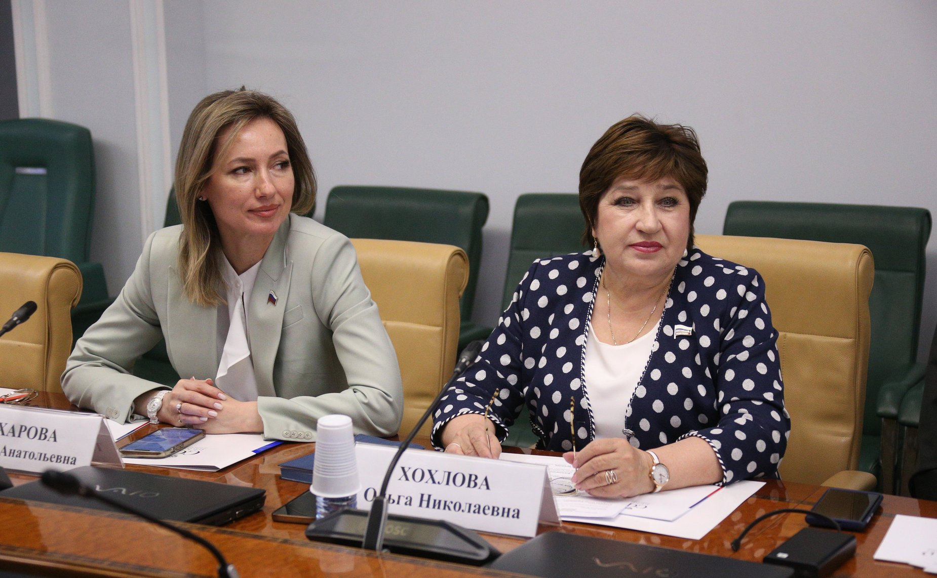 «Круглый стол» Комитета СФ по социальной политике