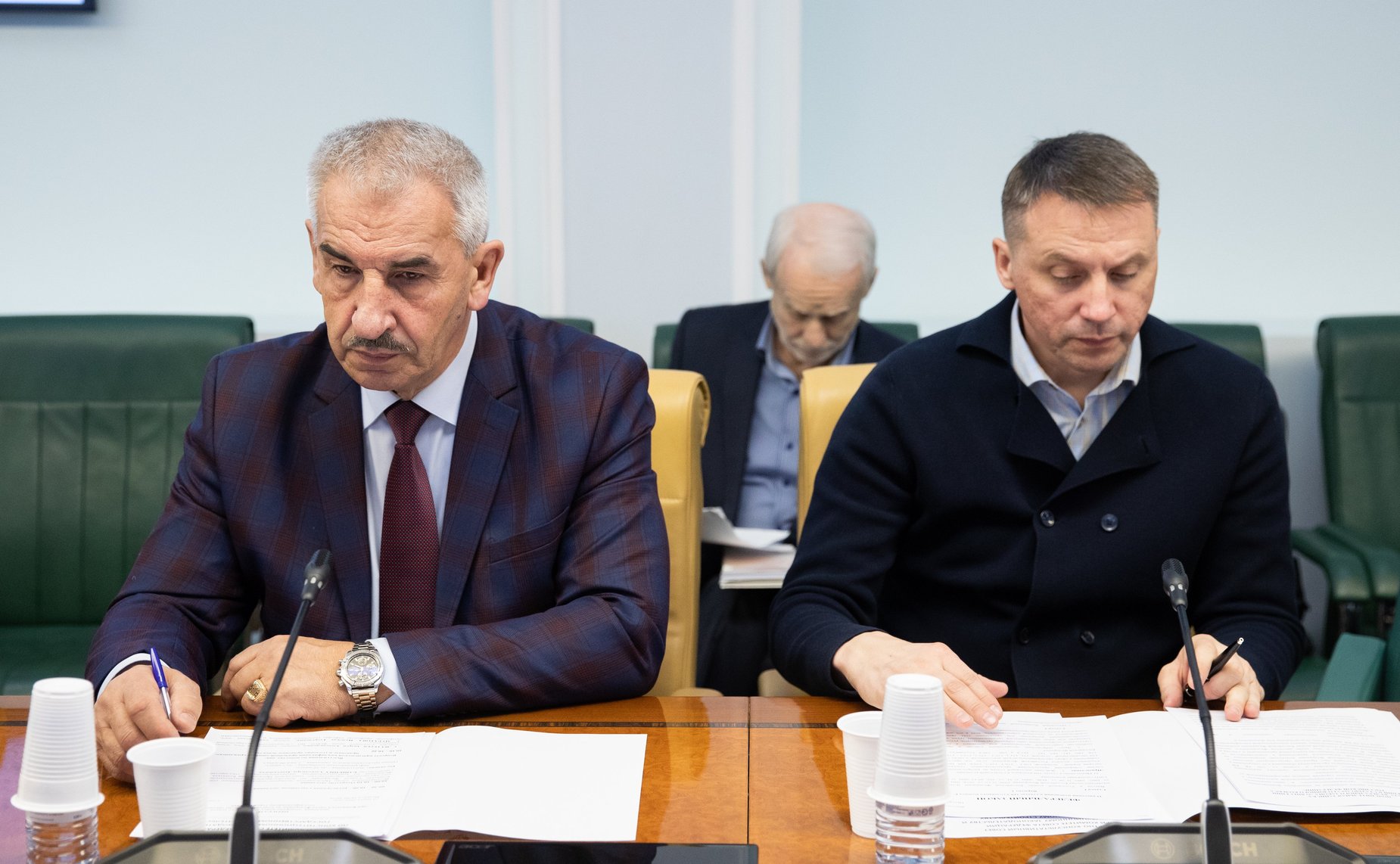 Заседание Экспертно-консультативного совета при Комитете СФ по конституционному законодательству и государственному строительству