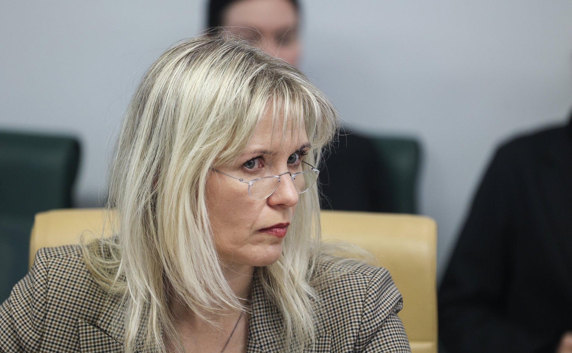 Встреча председателя Комитета Совета Федерации по международным делам Григория Карасина с наблюдателями от Международной парламентской ассамблеи АСЕАН (АИПА)