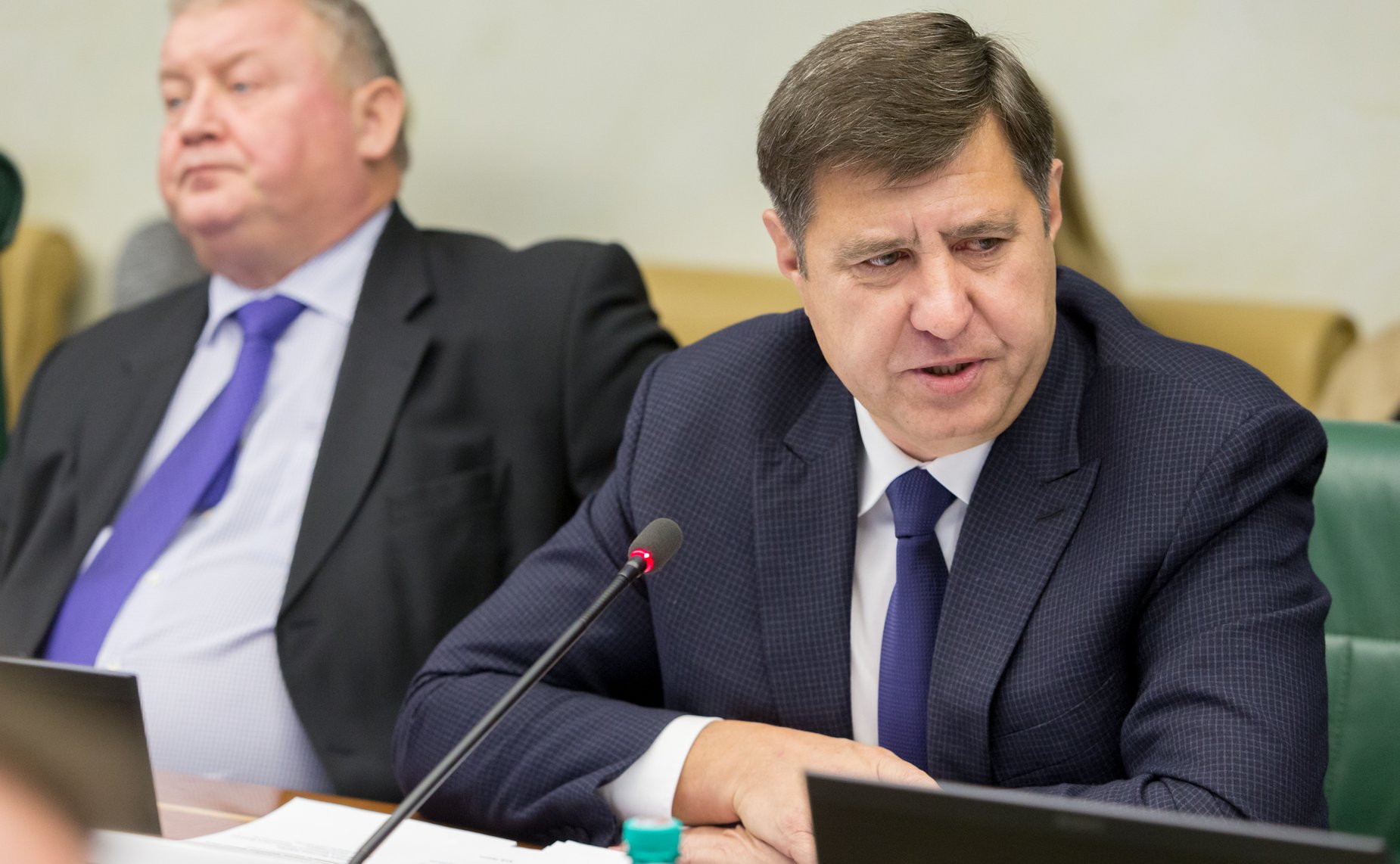 А. Голушко Заседание Комитета Совета Федерации по экономической политике