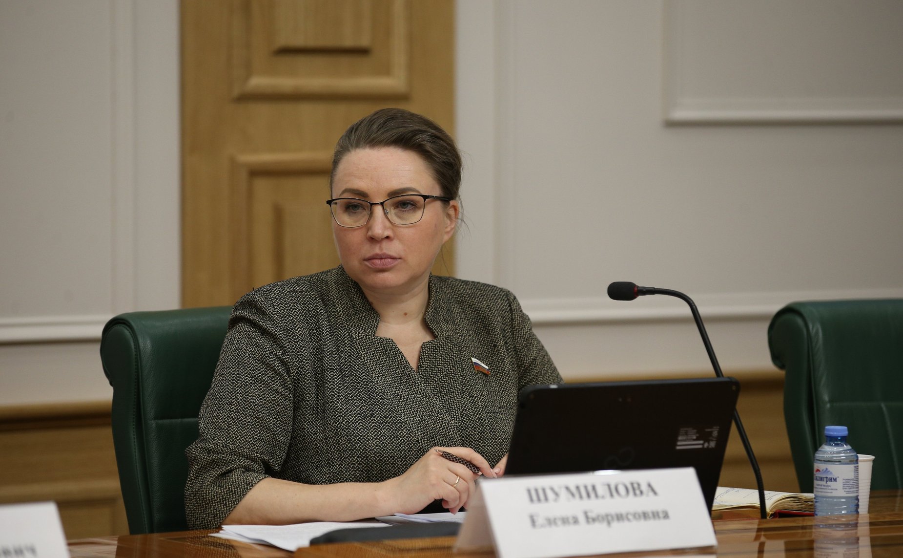 Елена Шумилова