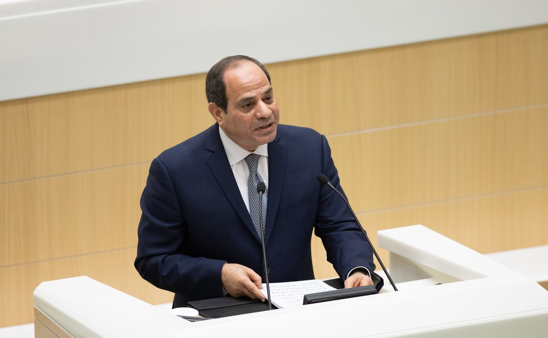 Выступление Президента Египта Абдельфаттаха Ас-Сиси в Совете Федерации