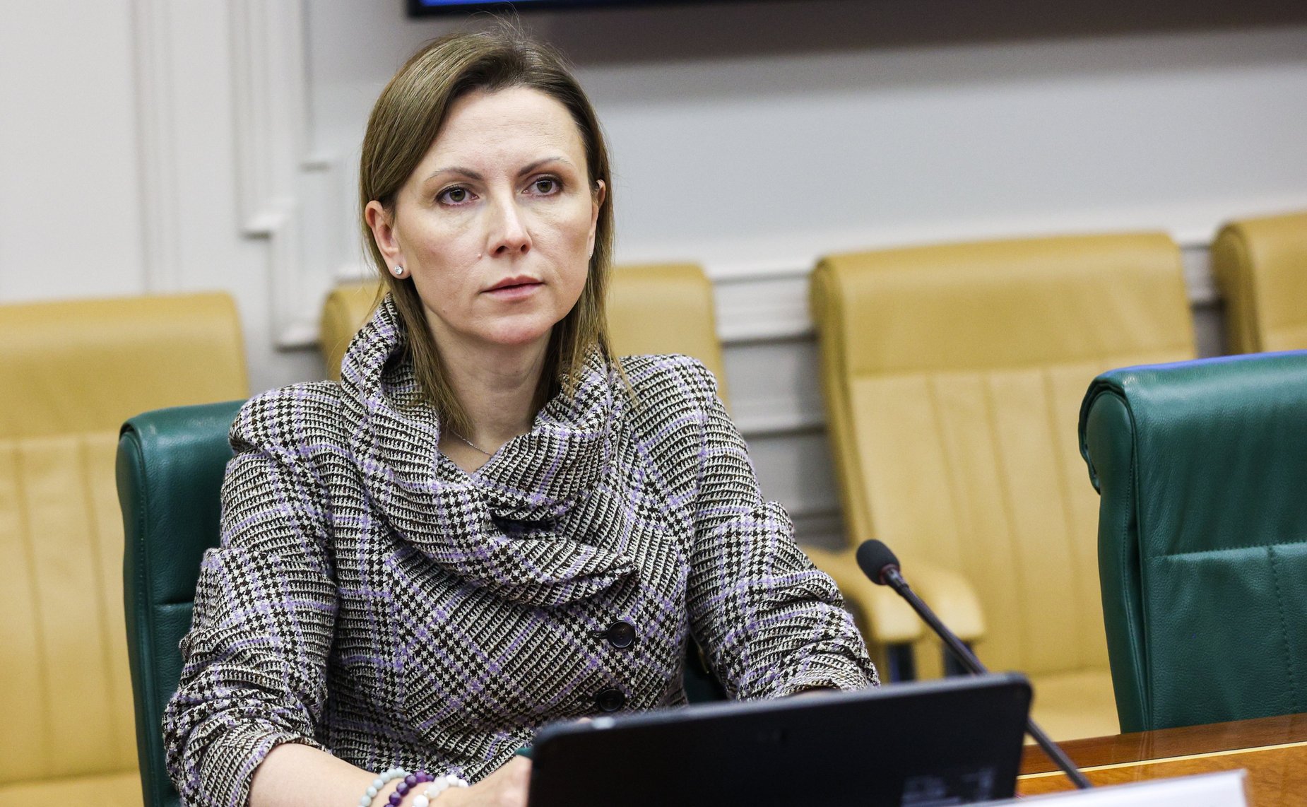 Совещание «Вопросы привлечения инвестиций в туристскую отрасль субъектов РФ. Законодательное и экономическое обеспечение развития особых экономических зон туристско-рекреационного типа»