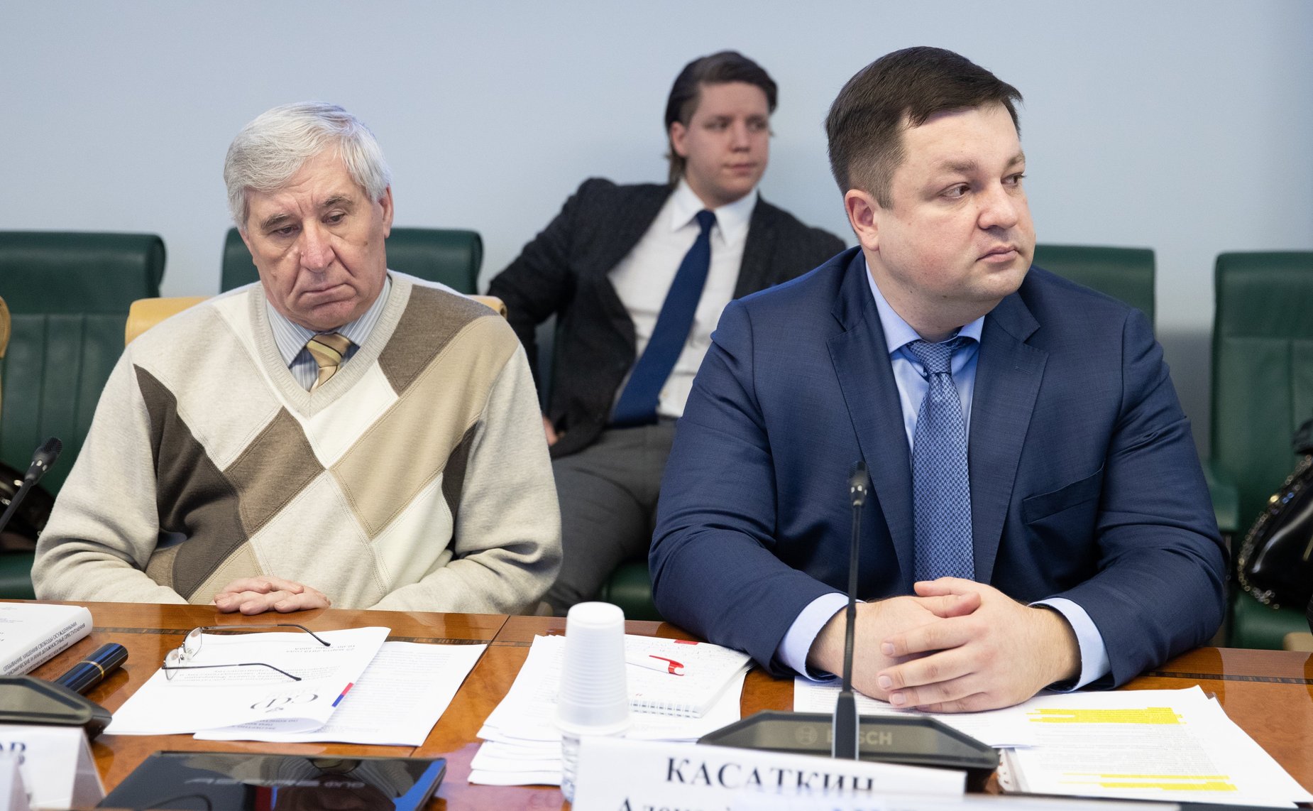 Заседание Экспертно-консультативного совета при Комитете СФ по конституционному законодательству и государственному строительству