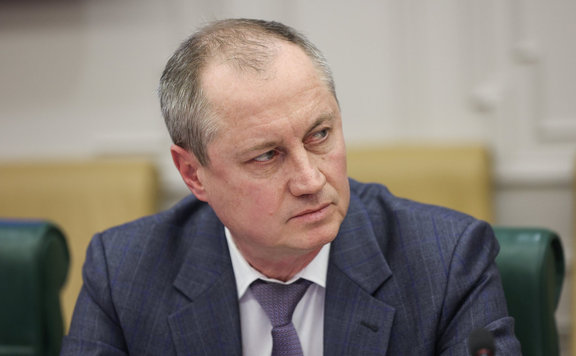 Круглый стол Комитета СФ по конституционному законодательству и государственному строительству