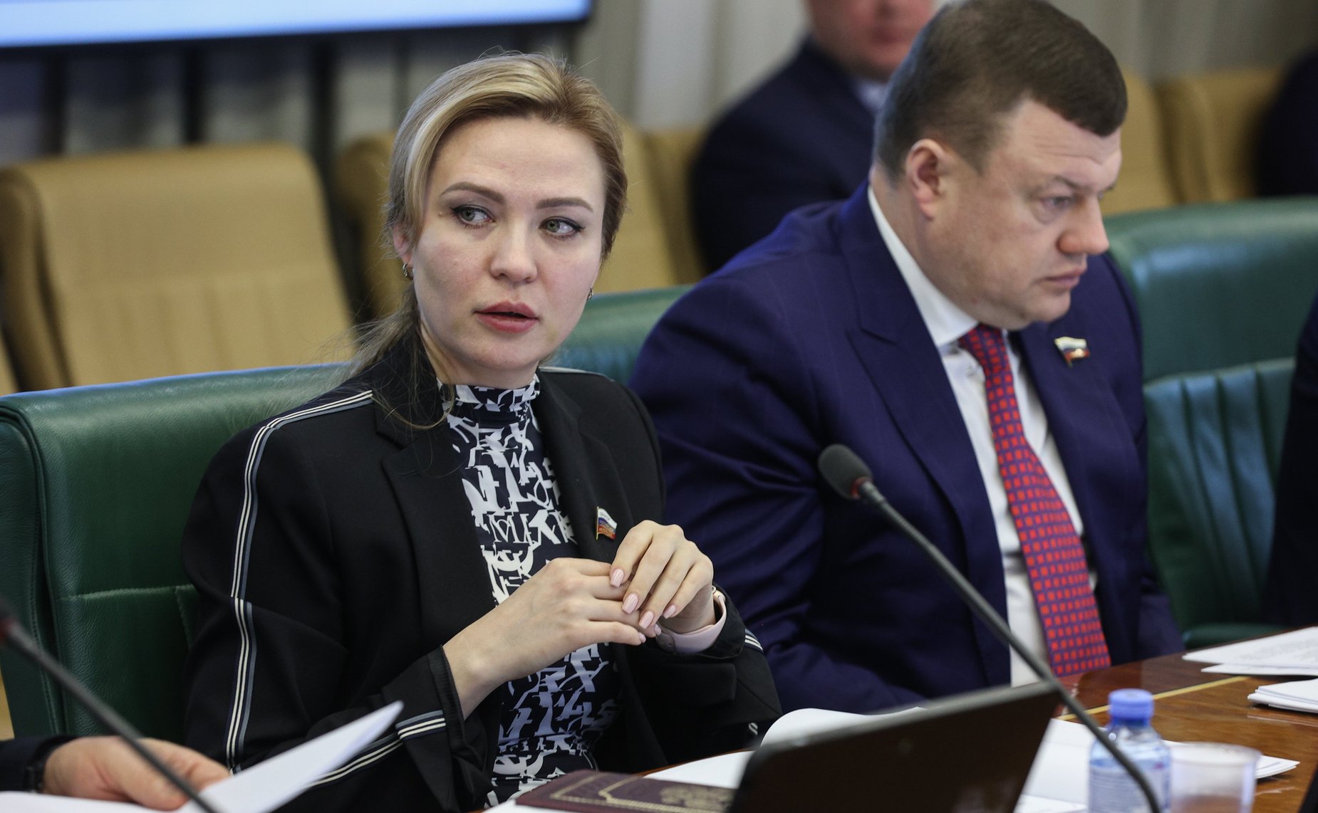 Заседание Комитета СФ по международным делам