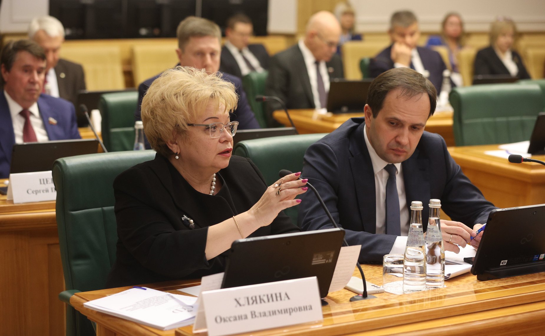 Расширенное заседание Совета по региональному здравоохранению при Совете Федерации на тему «Проблемы развития системы здравоохранения Республики Крым»