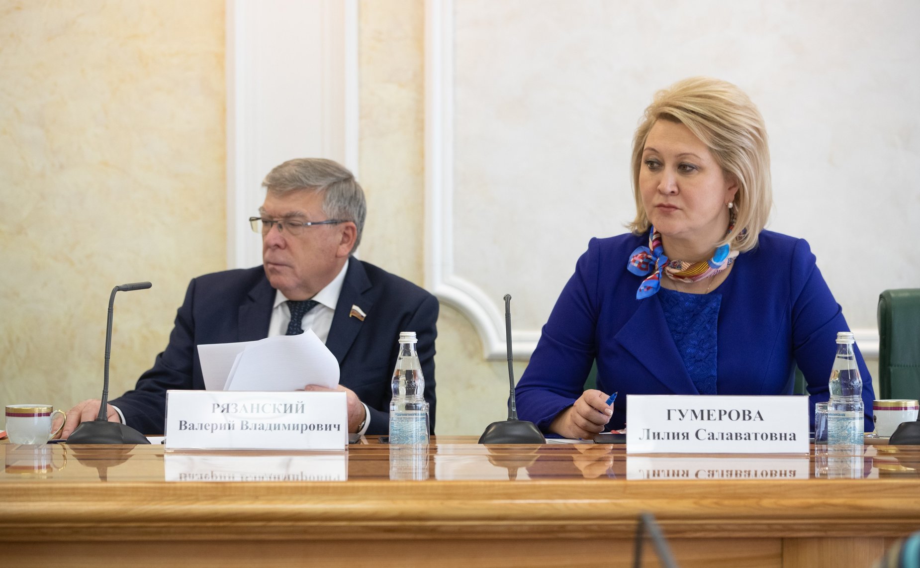 Заседание Совета по развитию социальных инноваций