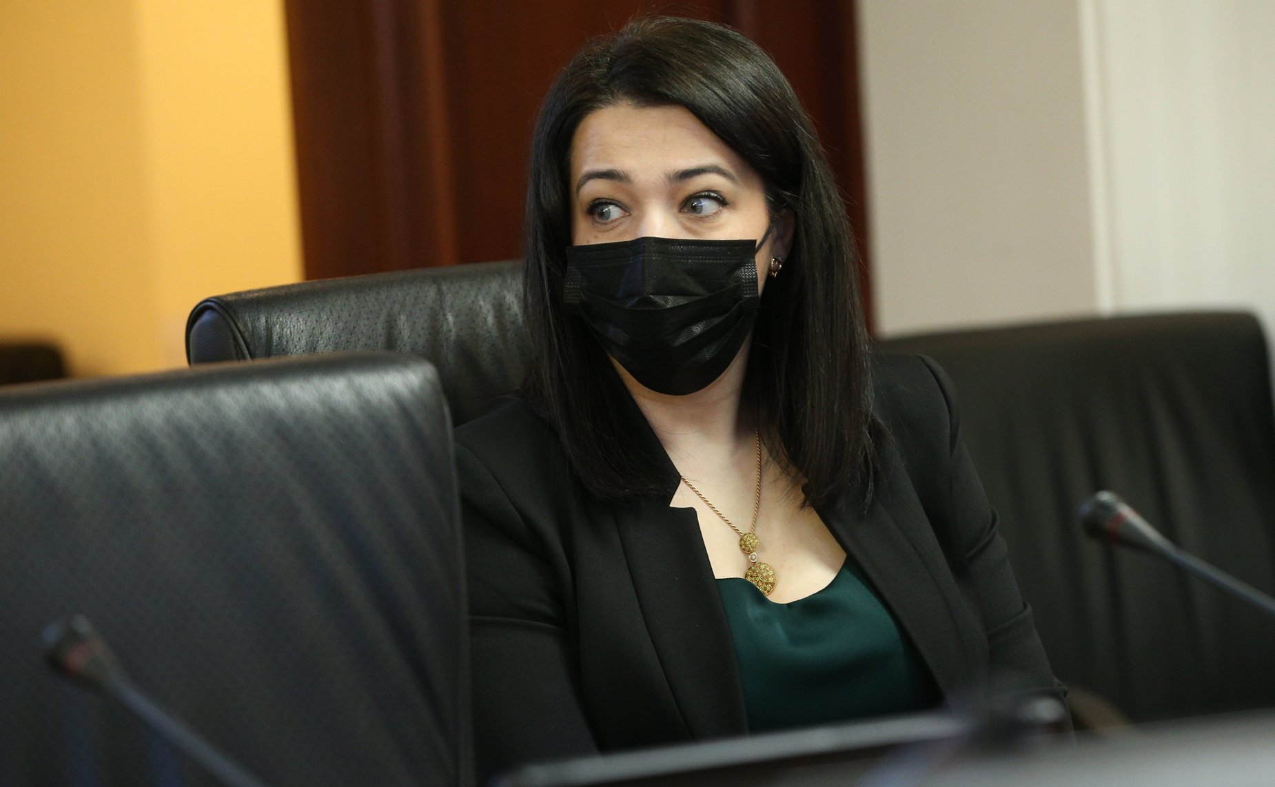 Заседание Комитета СФ по Регламенту и организации парламентской деятельности