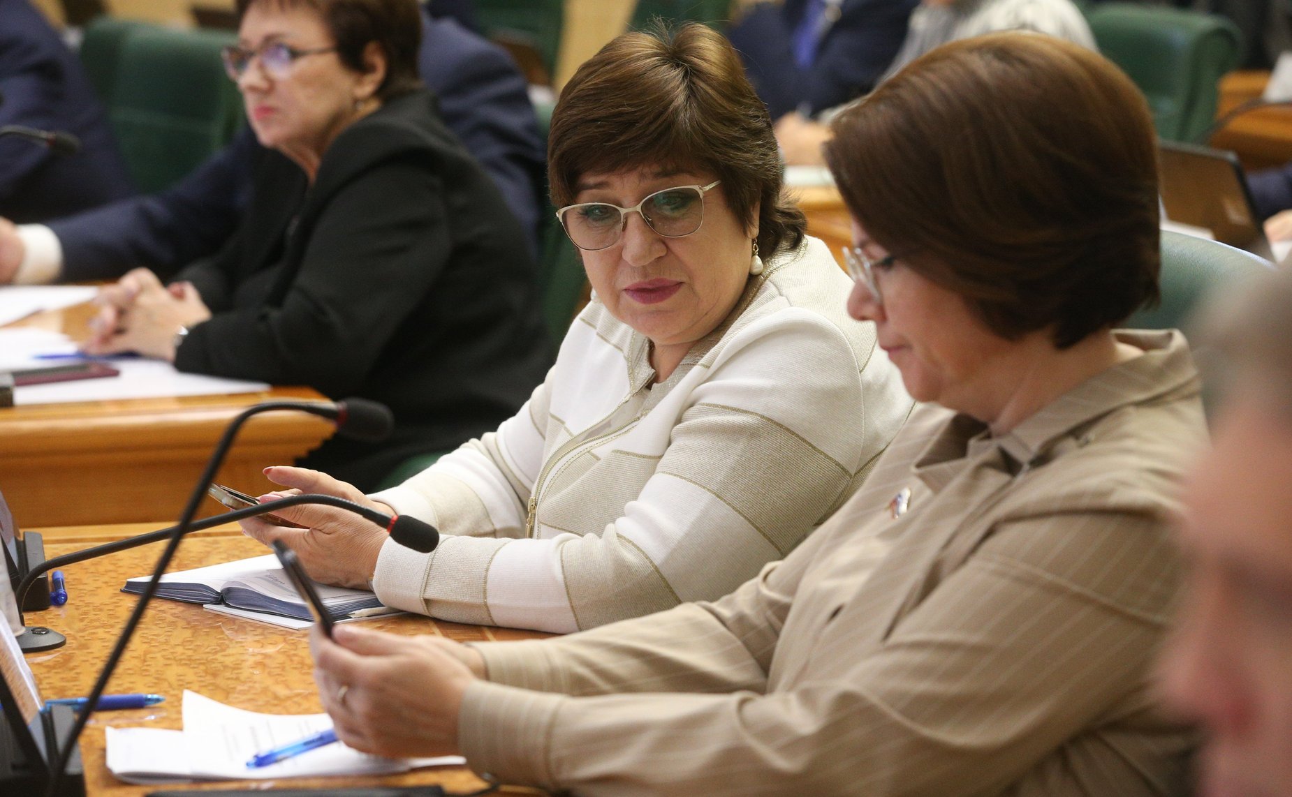 Открытый диалог с генеральным директором АО «Корпорация Туризм.РФ», организованный Комитетом СФ по социальной политике