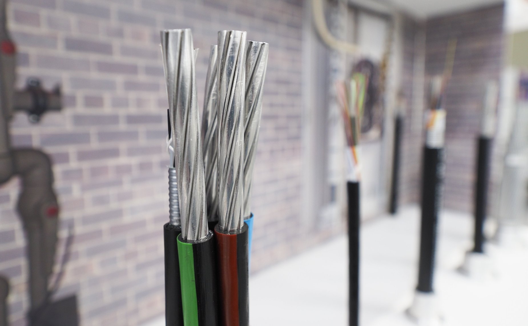 Выездное заседание Совета по вопросам интеллектуальной собственности на тему «Роль российских регионов в развитии рынка интеллектуальных прав»