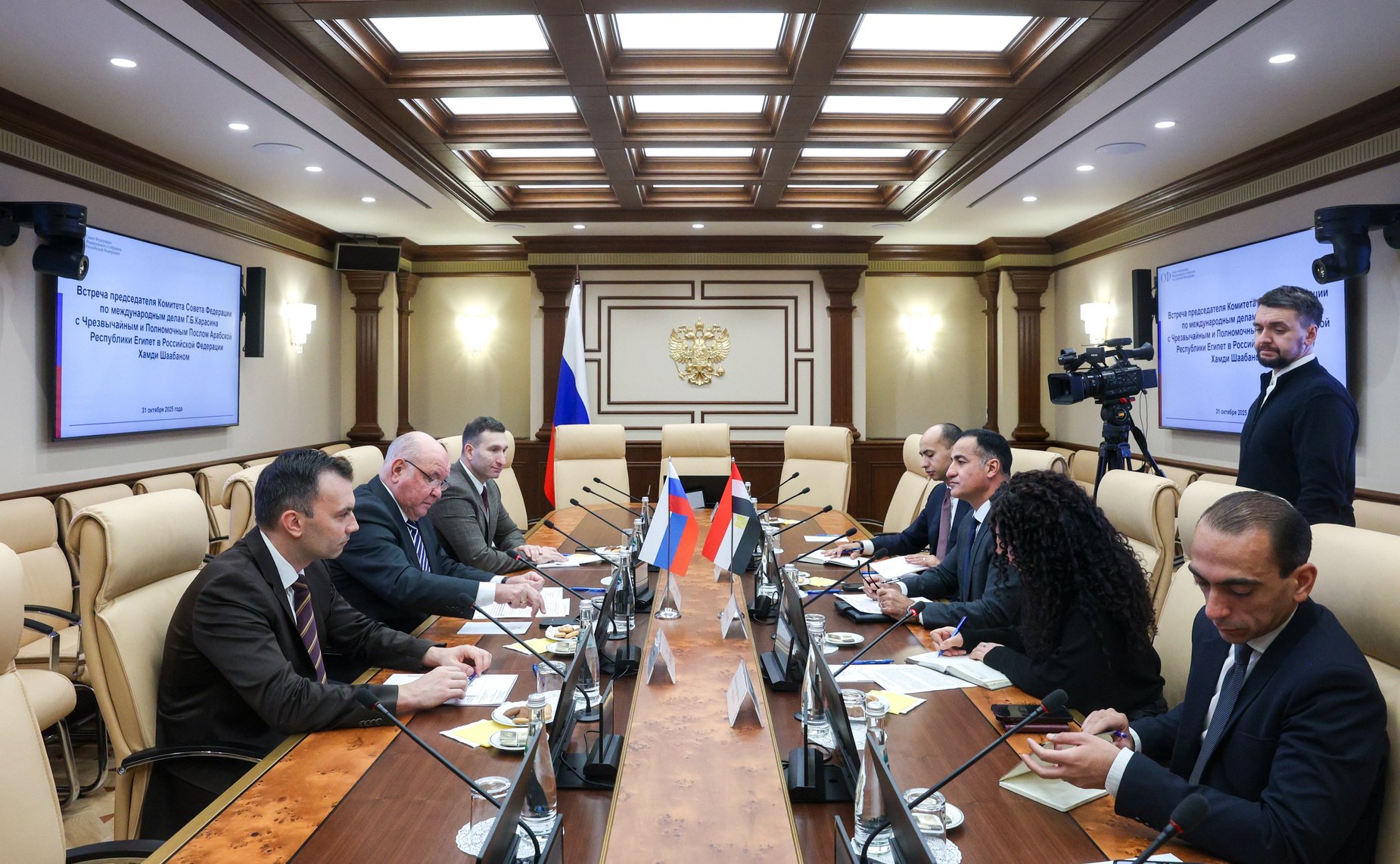 Встреча Григория Карасина с Чрезвычайным и Полномочным Послом Арабской Республики Египет в Российской Федерации