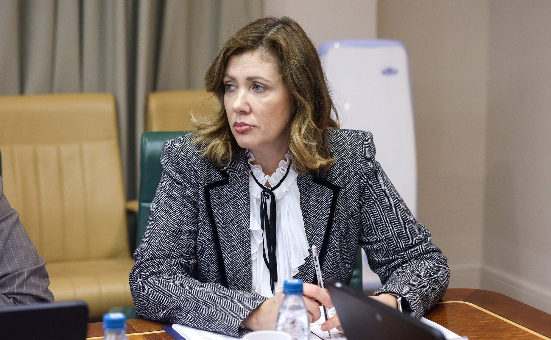 Заседание Комитета Совета Федерации по международным делам