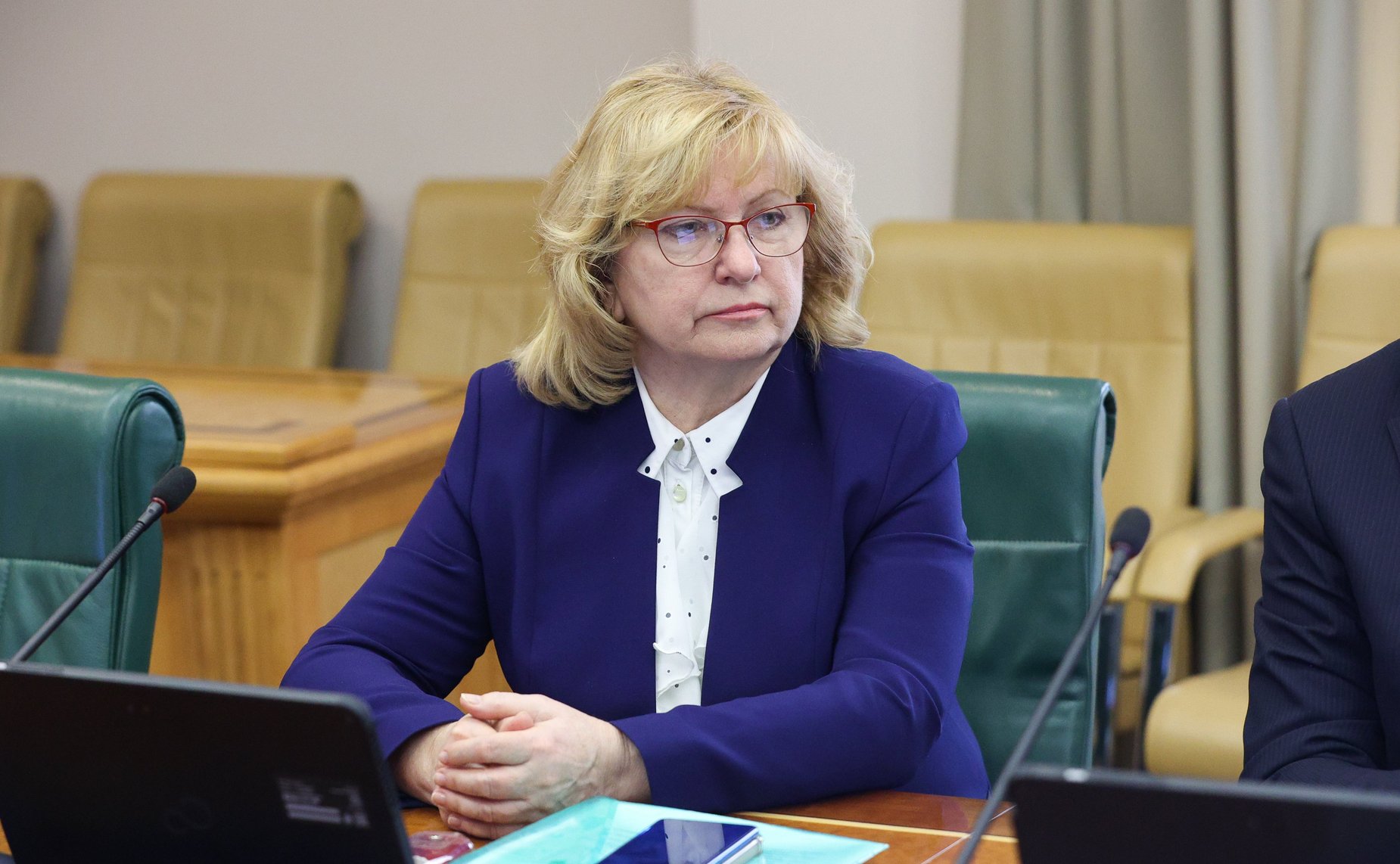 Совещание Комитета Совета Федерации по экономической политике на тему «Развитие электроэнергетического комплекса на территории Дальневосточного федерального округа»