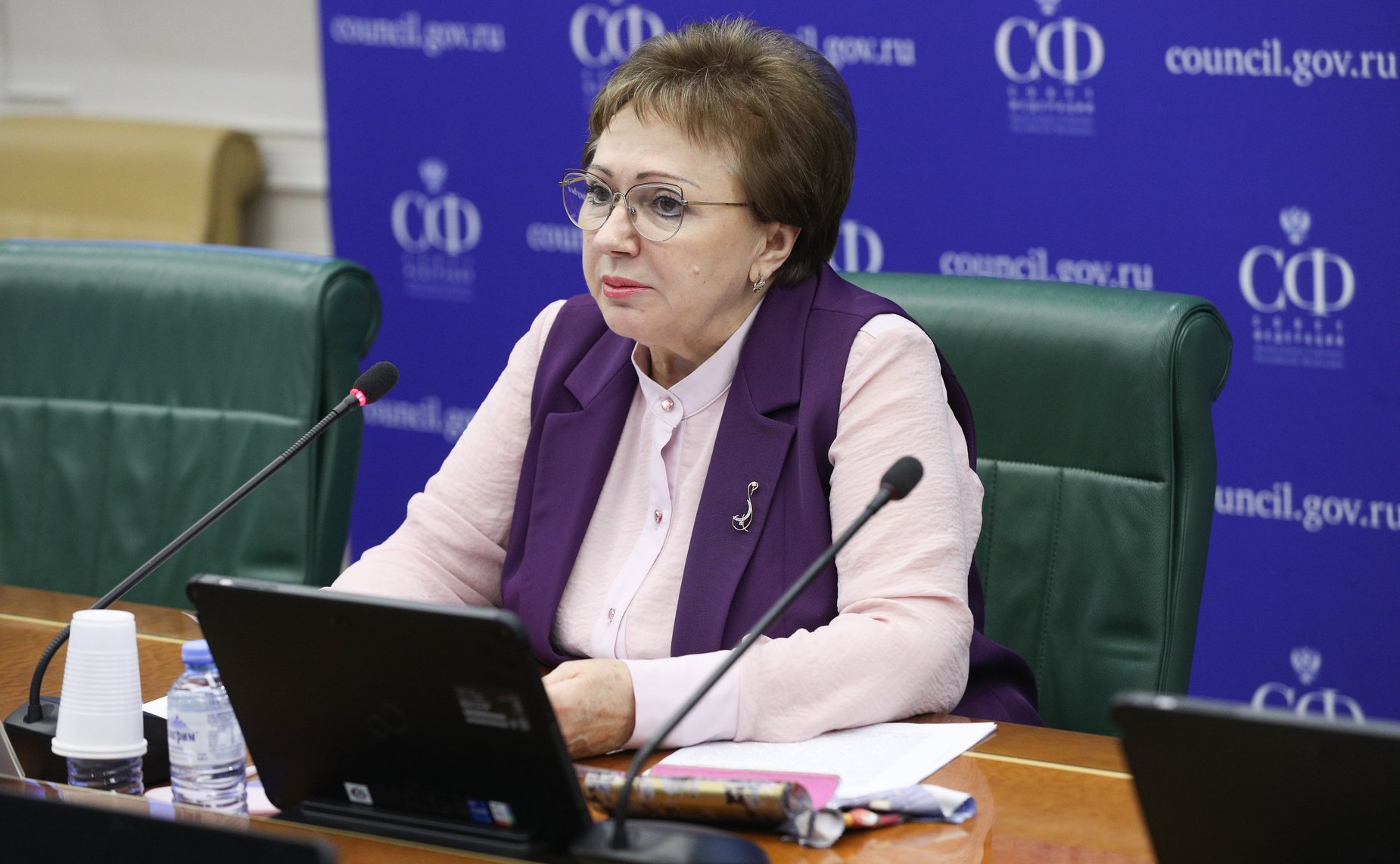 Елена Бибикова