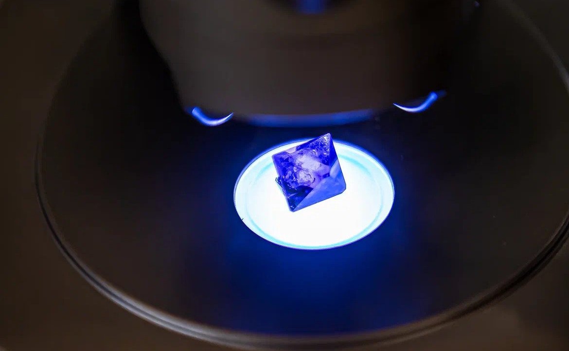 Александр Русаков принял участие в торжественном открытии Всероссийских юношеских чтений имени Вернадского