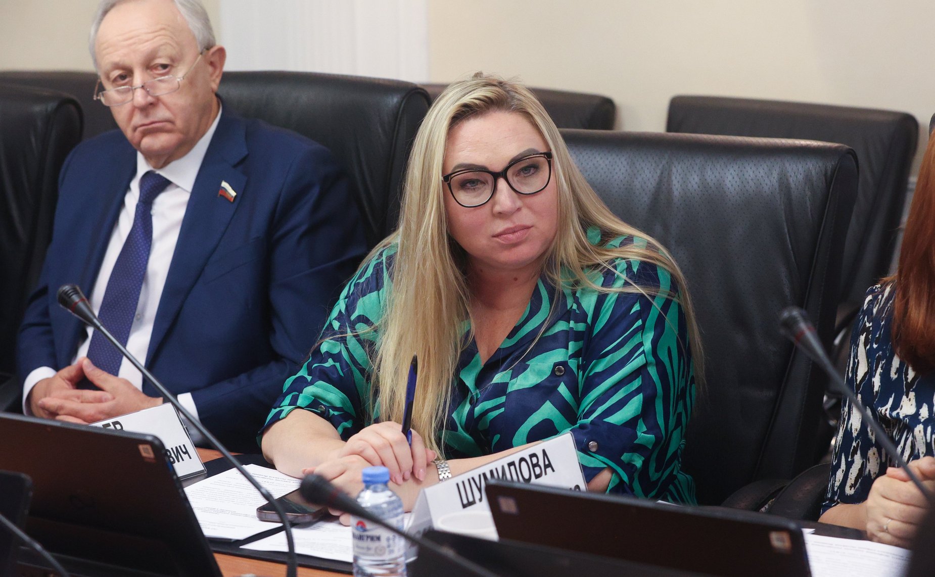 Елена Шумилова