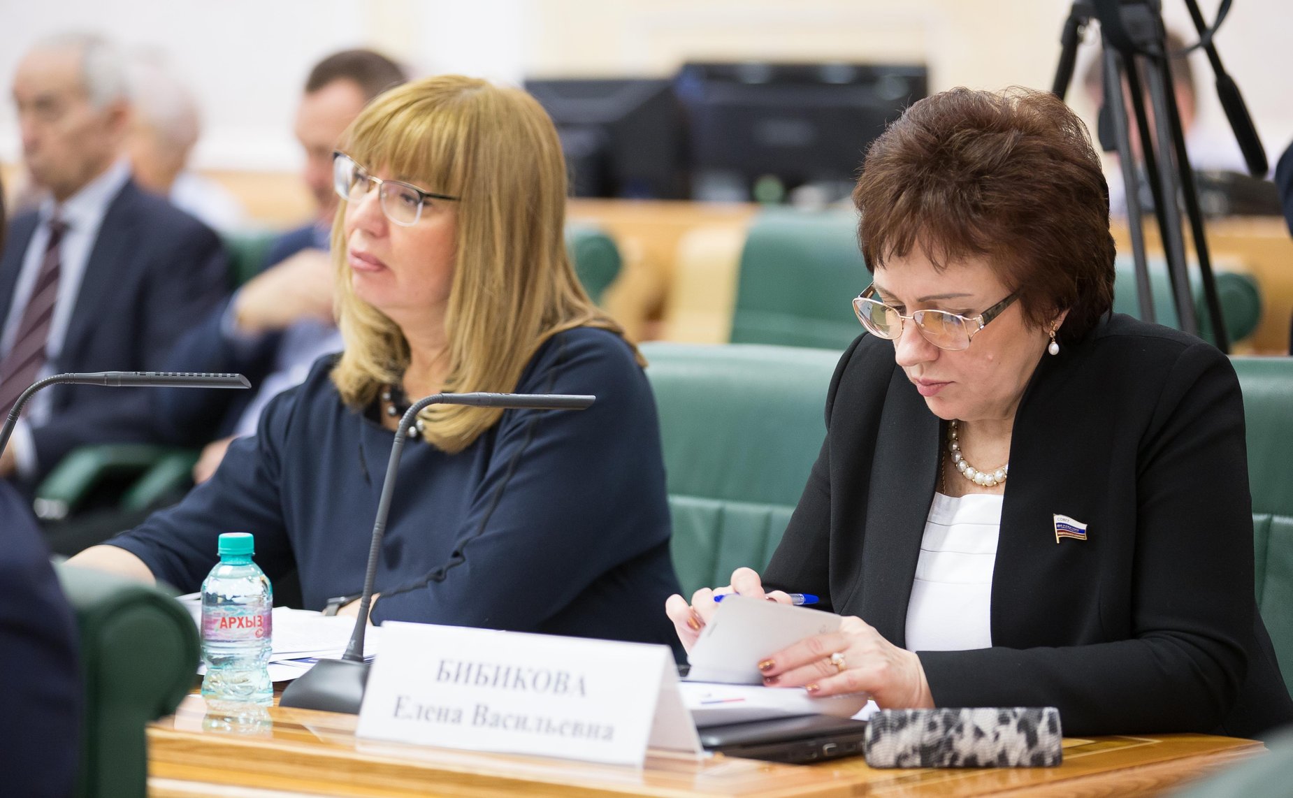 Е. Бибикова