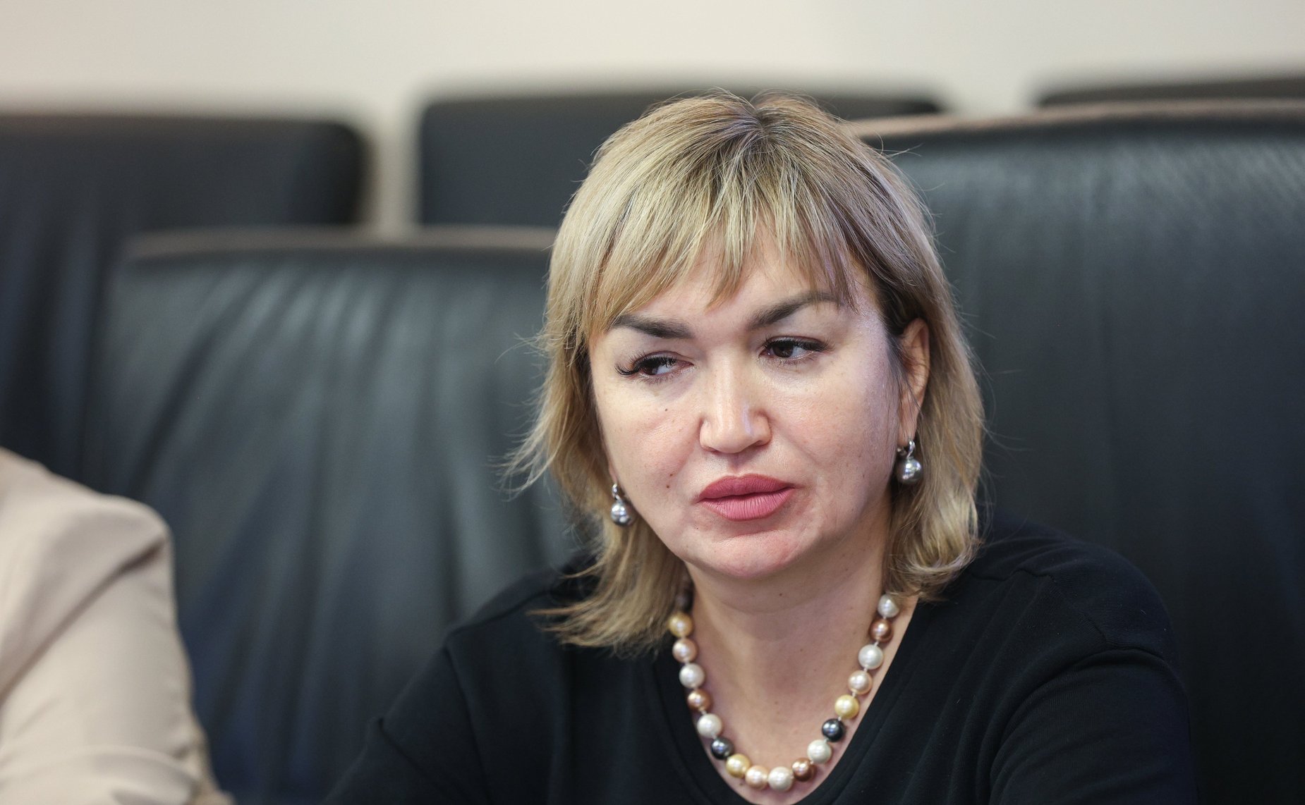 Встреча членов Комитета СФ по федеративному устройству, региональной политике, МСУ и делам Севера с представителями органов местного самоуправления из Республики Татарстан