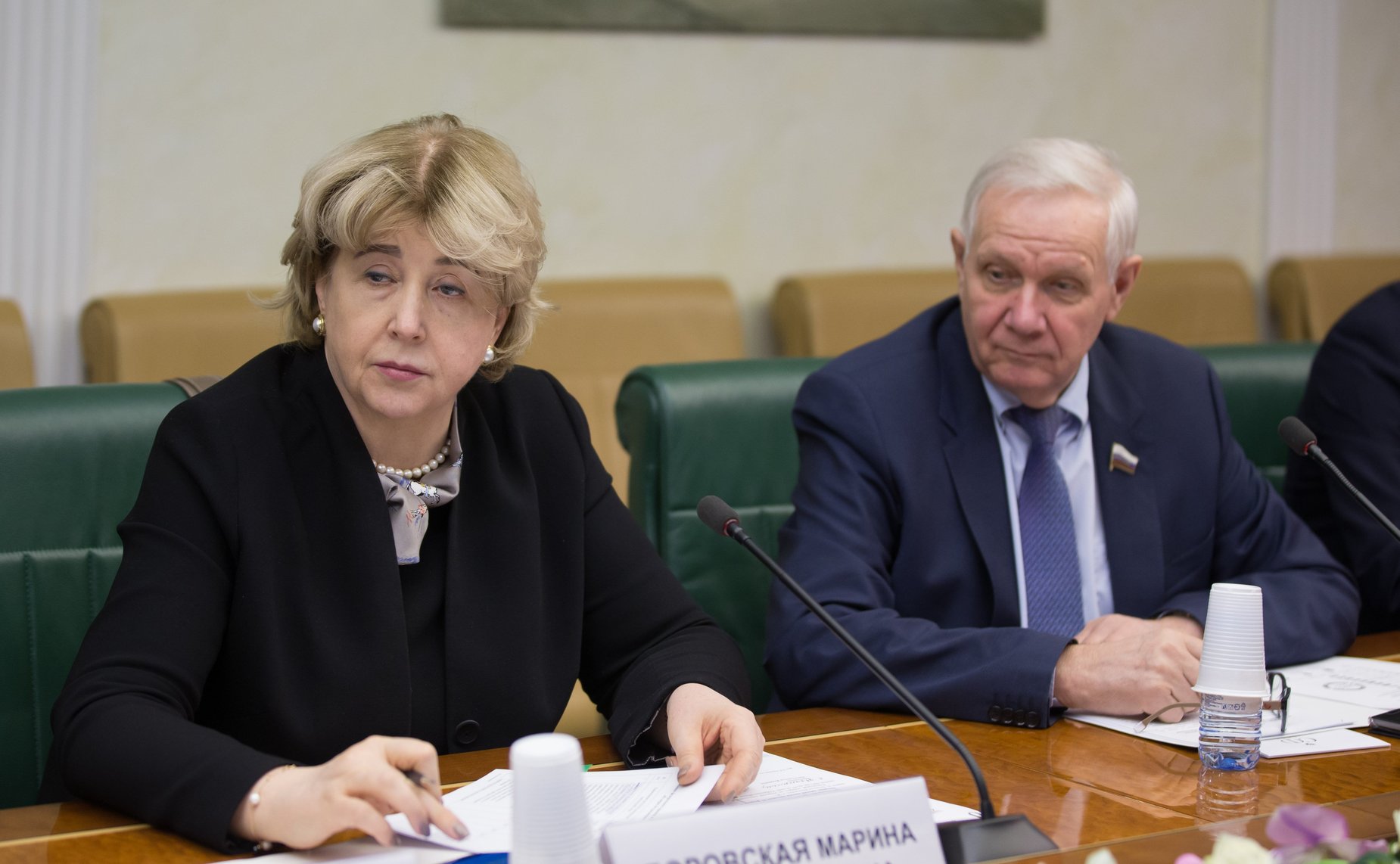 Заседание временной рабочей группы по рассмотрению вопросов создания благоприятных условий для обеспечения интереса иностранных граждан к получению образования в России
