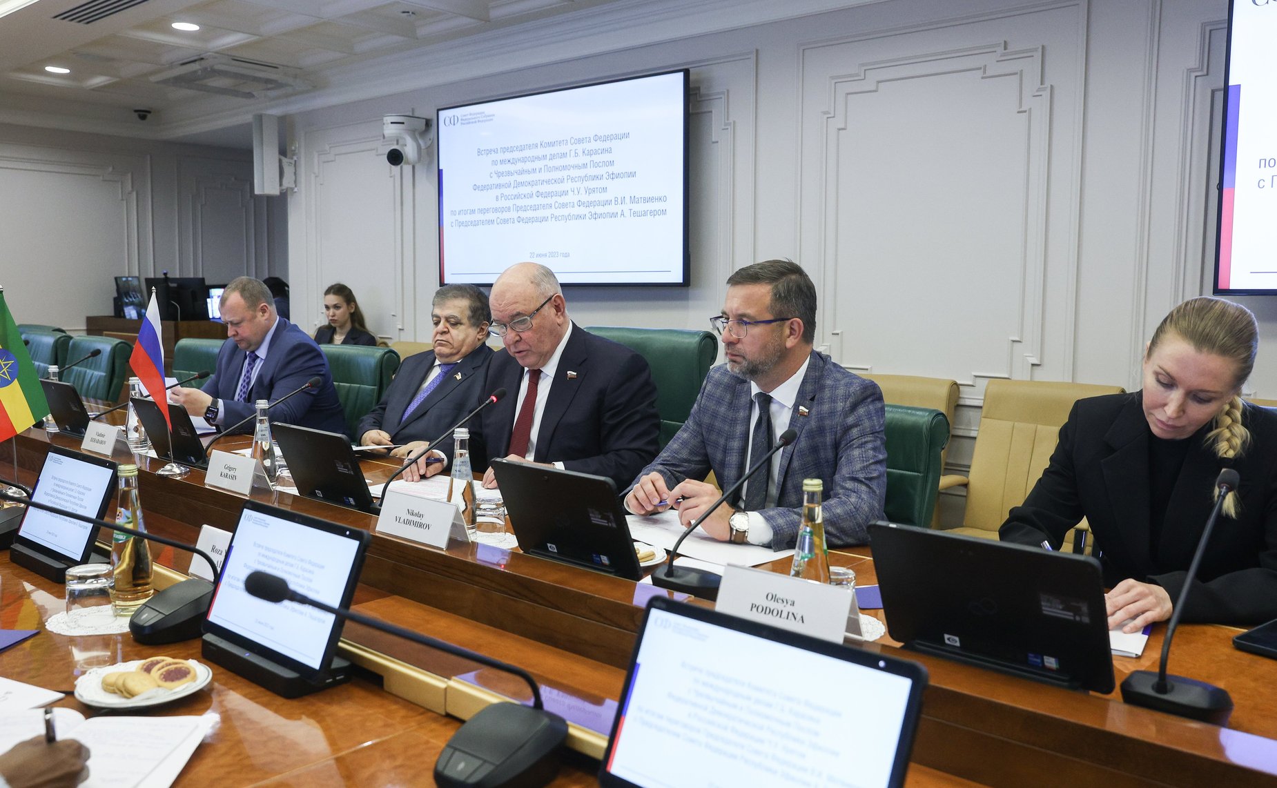 Встреча председателя Комитета СФ по международным делам Григория Карасина с Чрезвычайным и Полномочным Послом Федеральной Демократической Республики Эфиопии