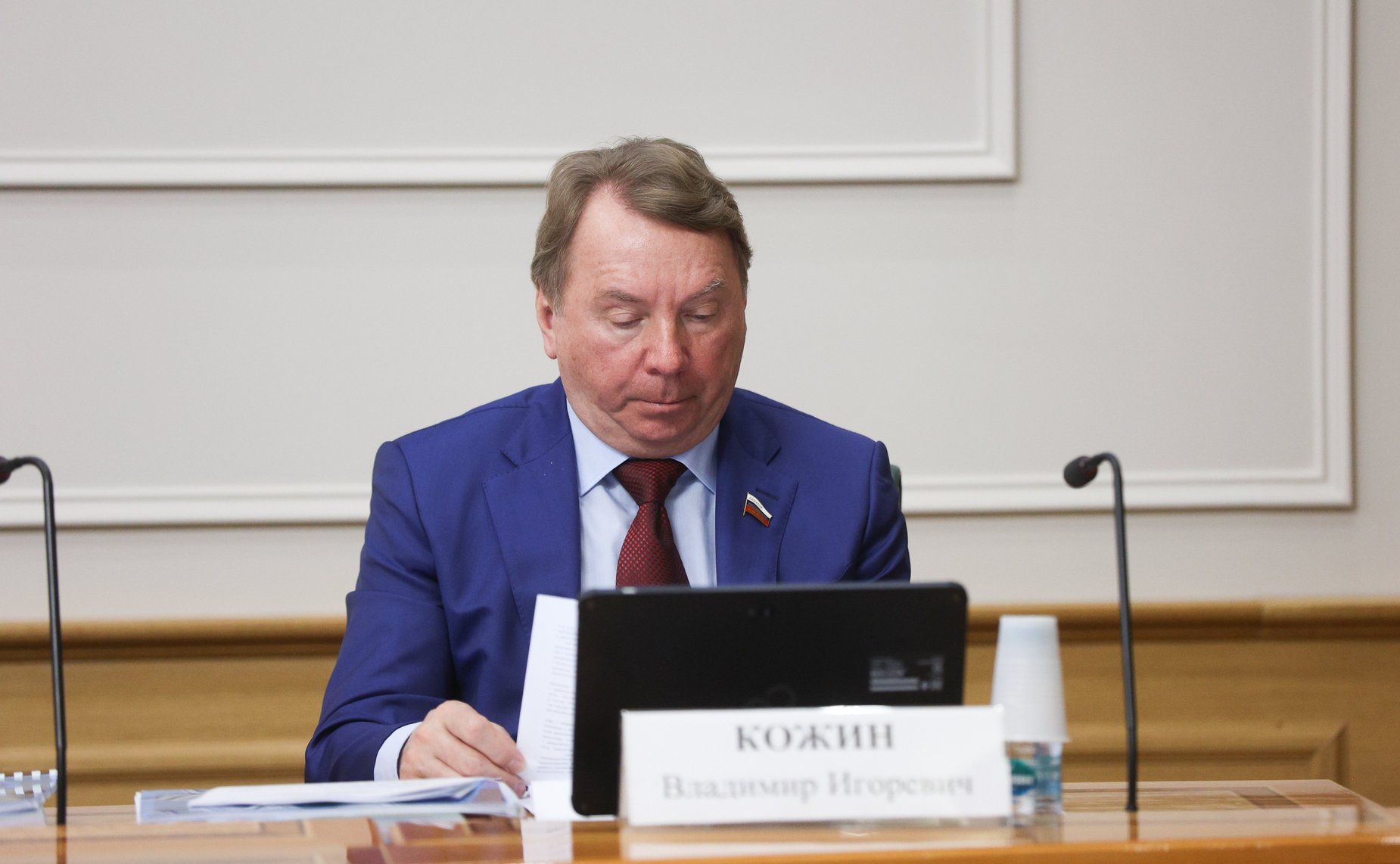 Владимир Кожин