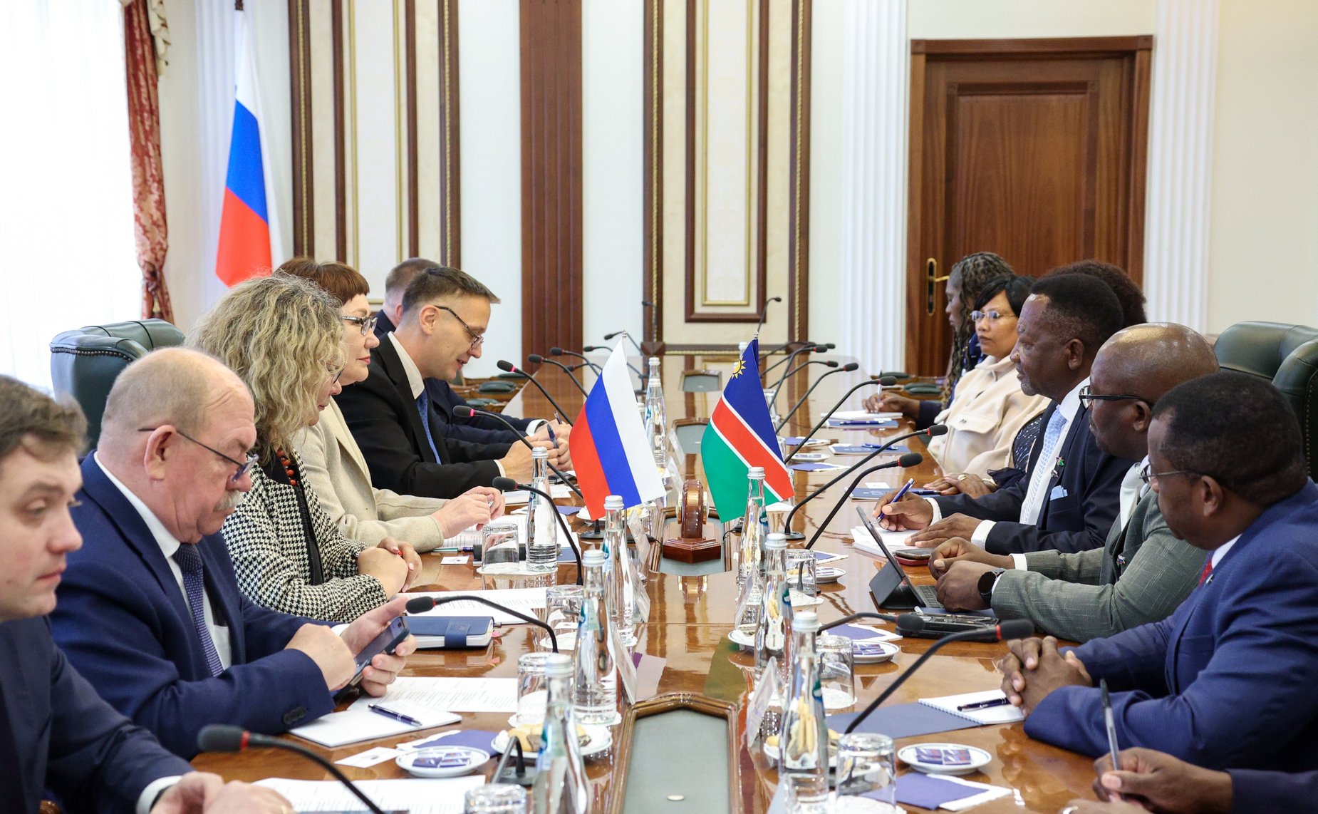 Елена Перминова встретилась с членом Постоянного комитета по вопросам государственной бюджетной отчетности и экономики Национального совета Намибии Абнером Шиконго