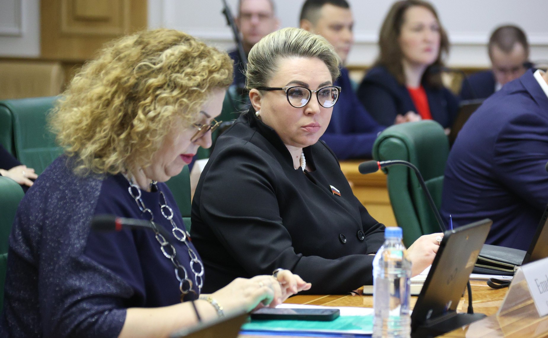 Елена Шумилова