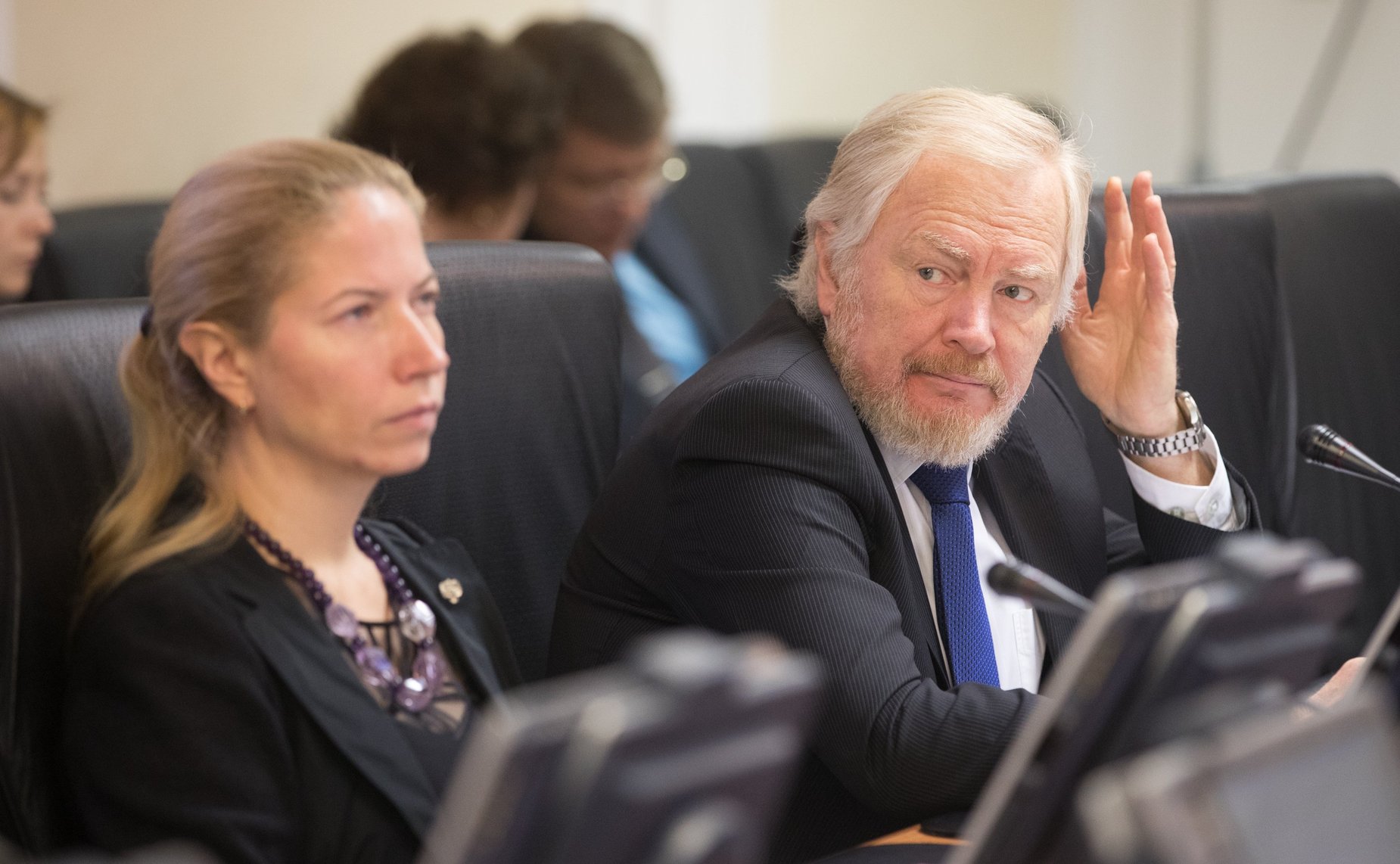 Заседание Комитета СФ по международным делам