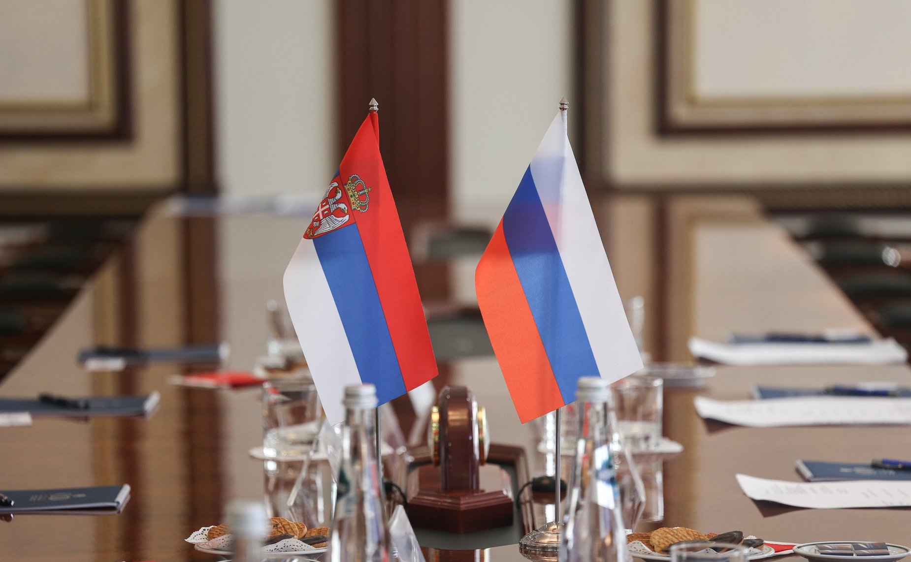 Встреча руководителя группы по сотрудничеству Совета Федерации с Народной скупщиной Республики Сербии Елены Афанасьевой с делегацией Народной скупщины Республики Сербии