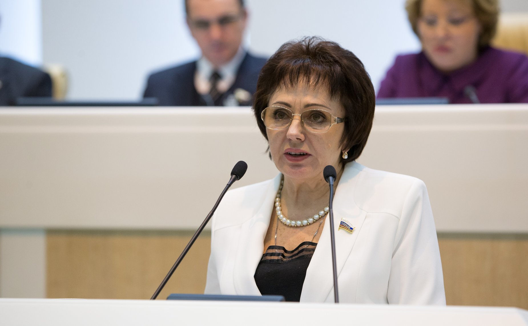 Бибикова 383-е заседание Совета Федерации