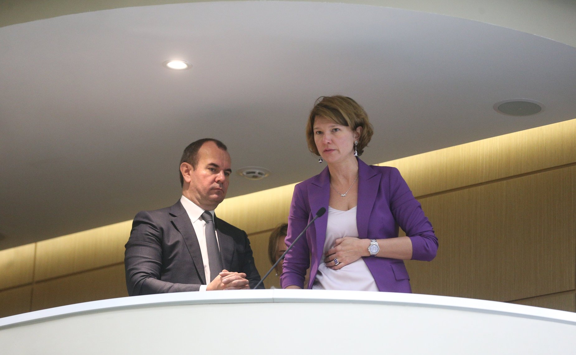 530-е заседание Совета Федерации