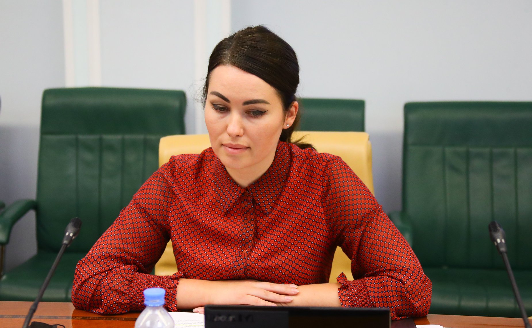 Экспертный совет по физической культуре и спорту при Комитете СФ по социальной политике