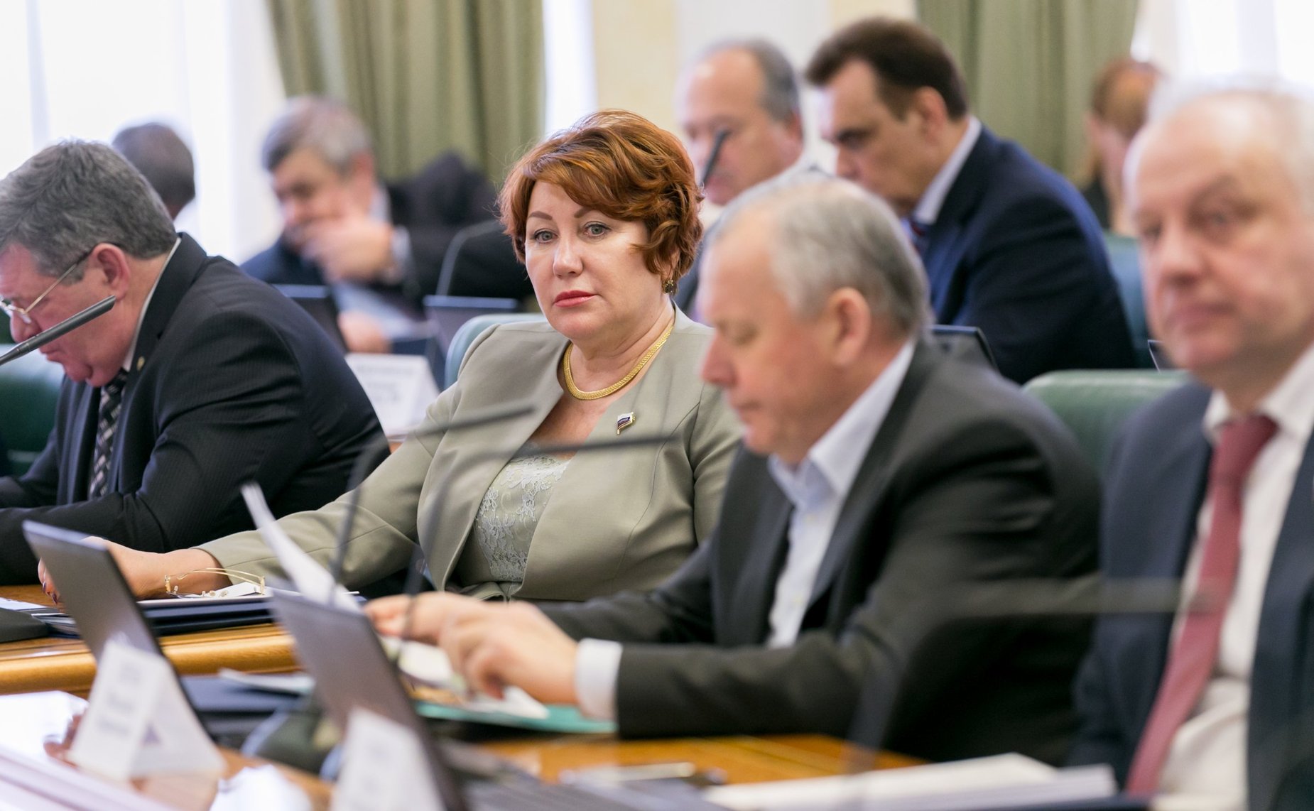 Е. Перминова Заседание Комитета Совета Федерации по бюджету и финансовым рынкам