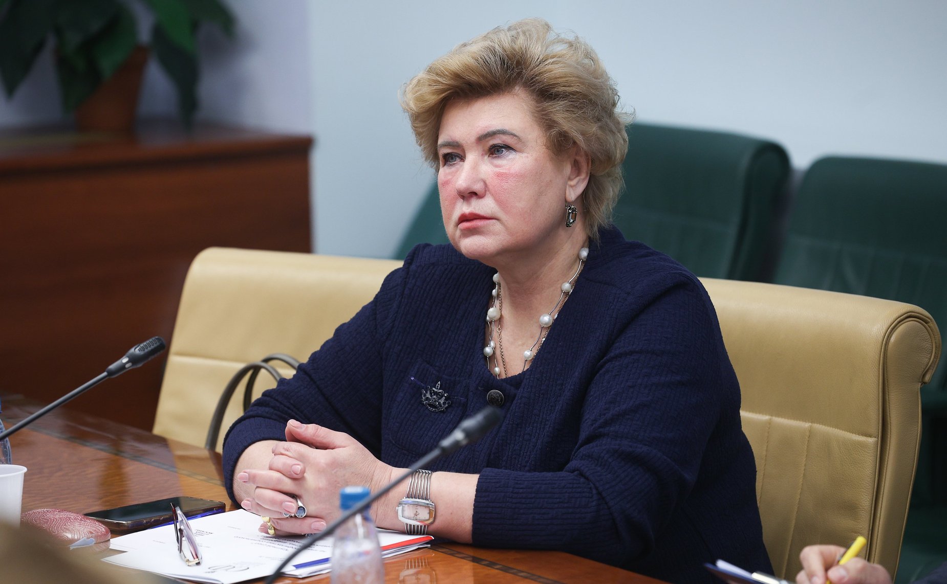 Совещание Комитета Совета Федерации по социальной политике «Профилактика социального сиротства: внедрение семьесберегающего подхода»