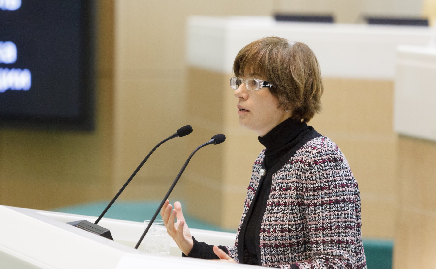 парламентские слушания, посвященные планированию бюджета на 2015 год и на период 2016–2017 годов -16 Ксения Юдаева