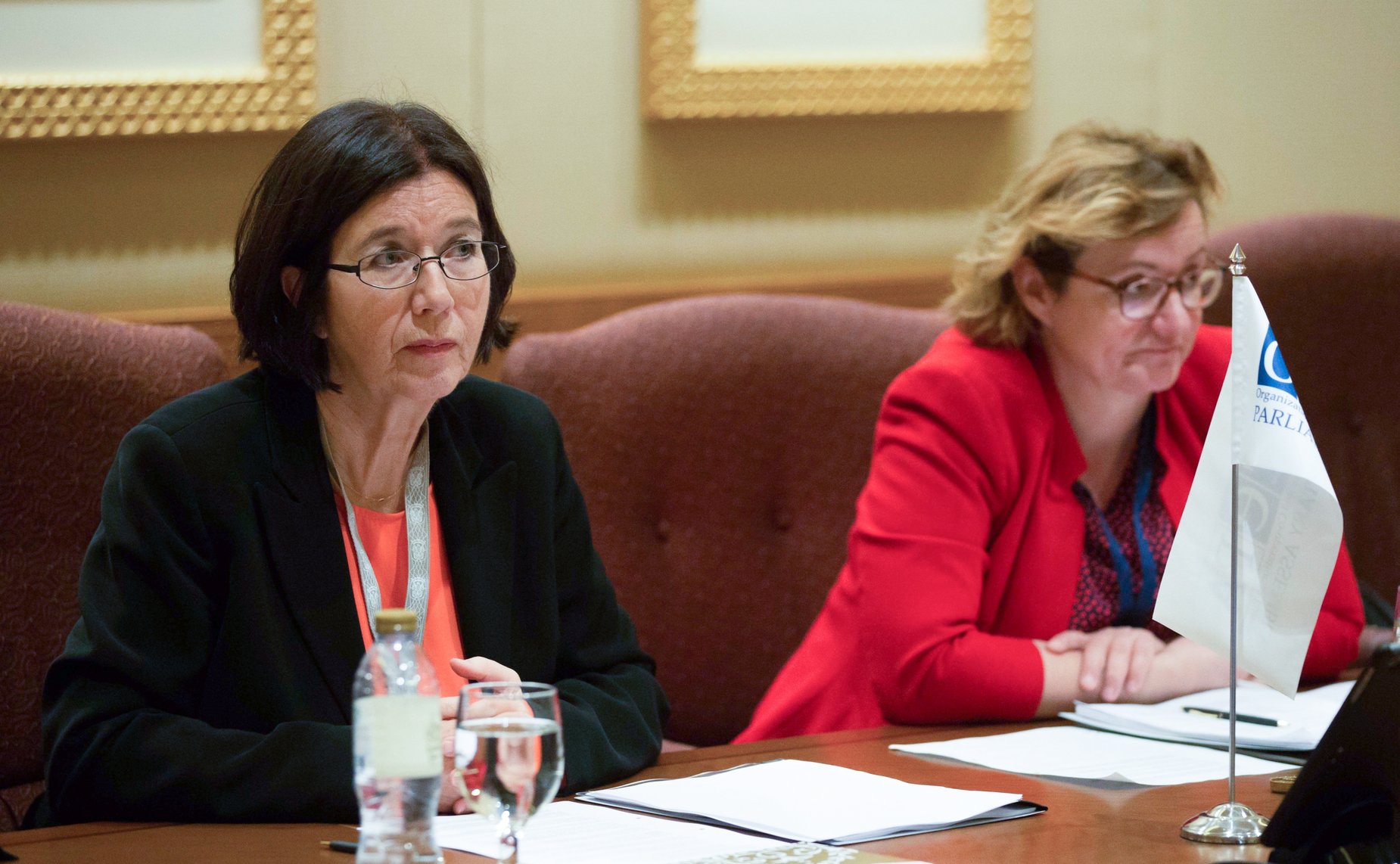 Председатель Парламентской Ассамблеи ОБСЕ (ПА ОБСЕ) Кристин Муттонен